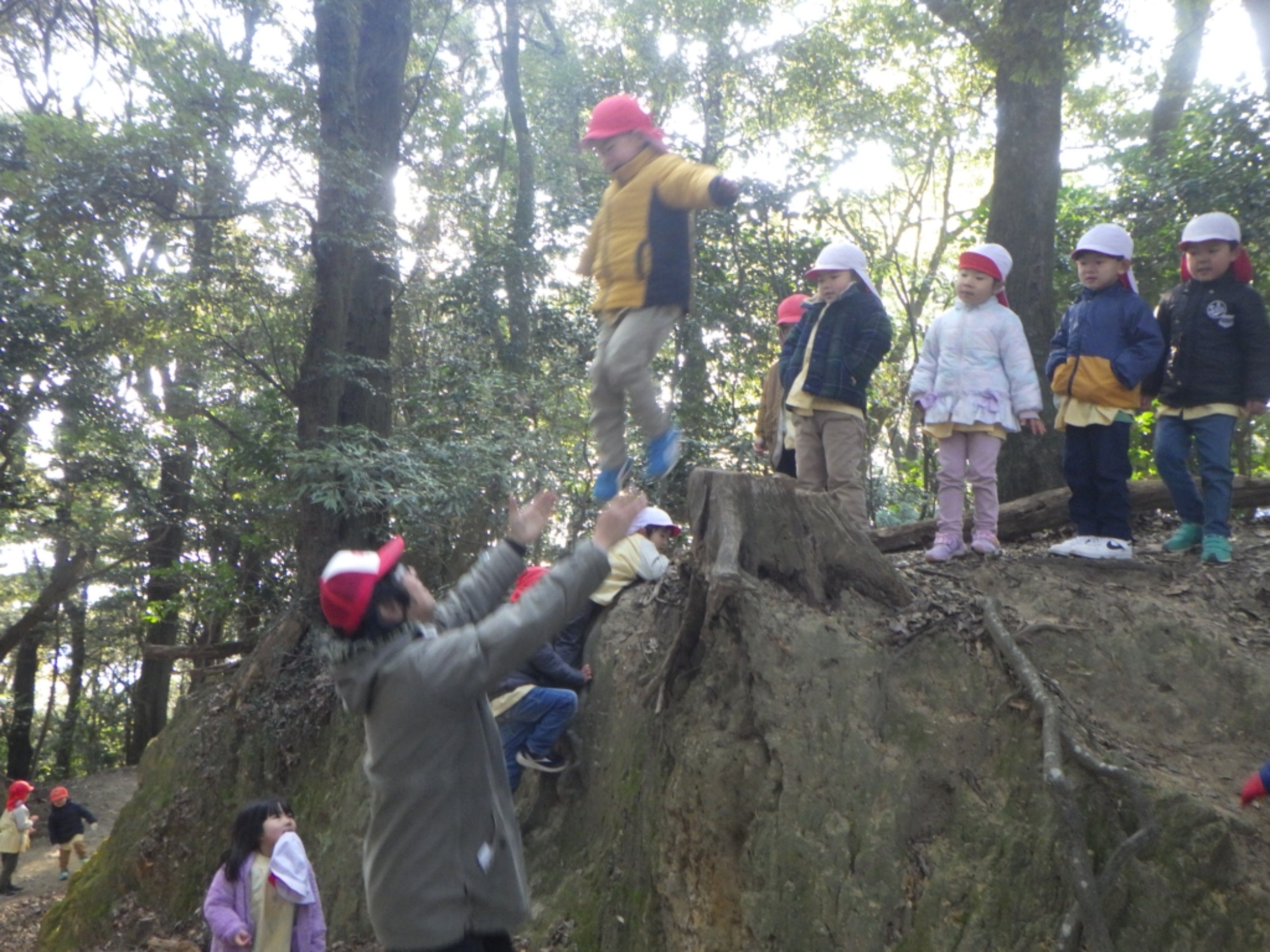 【年中】1/14　村積山　園外保育（3/3）