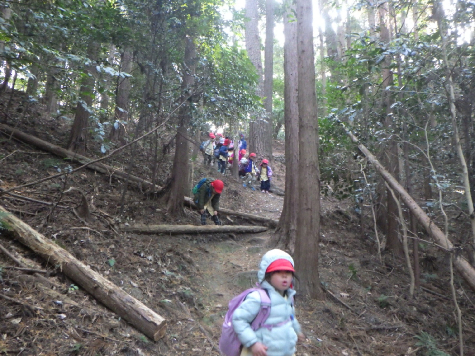 【年中】1/14　村積山　園外保育（3/3）