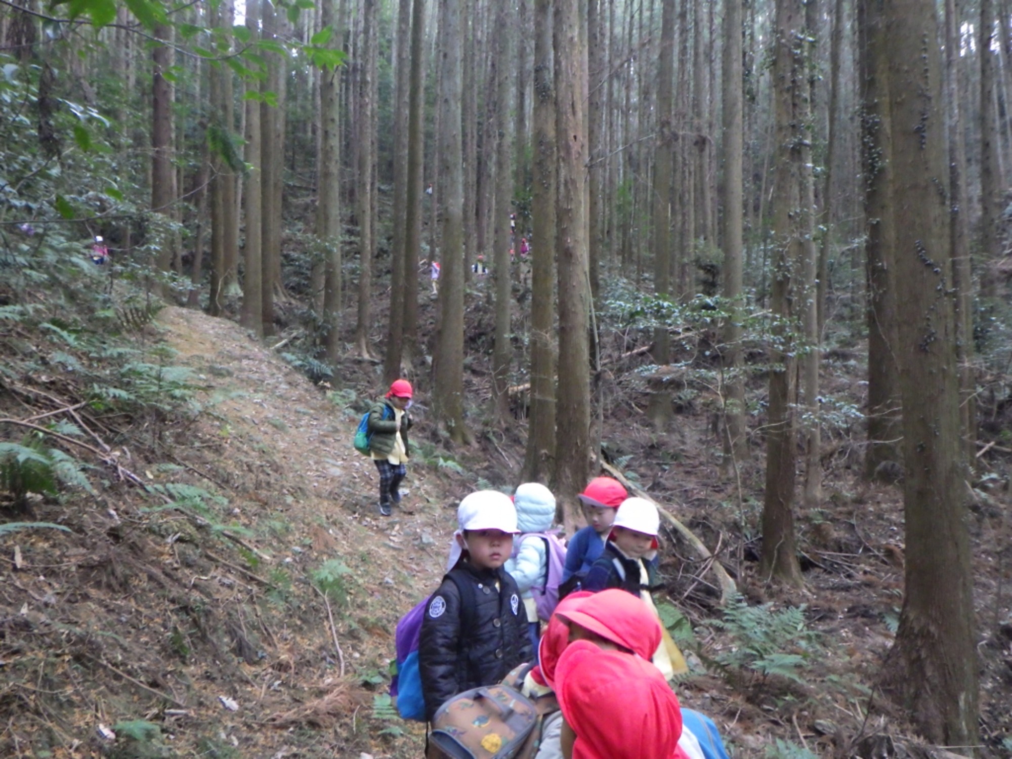 【年中】1/14　村積山　園外保育（3/3）