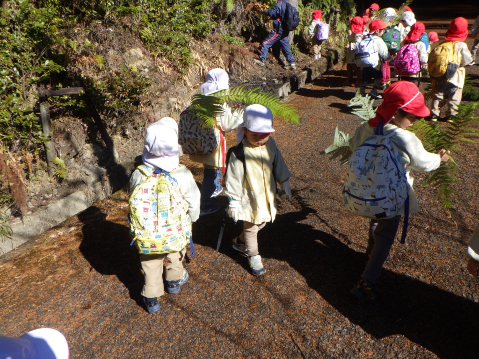 【年少】1/21　村積山　園外保育（1/3）