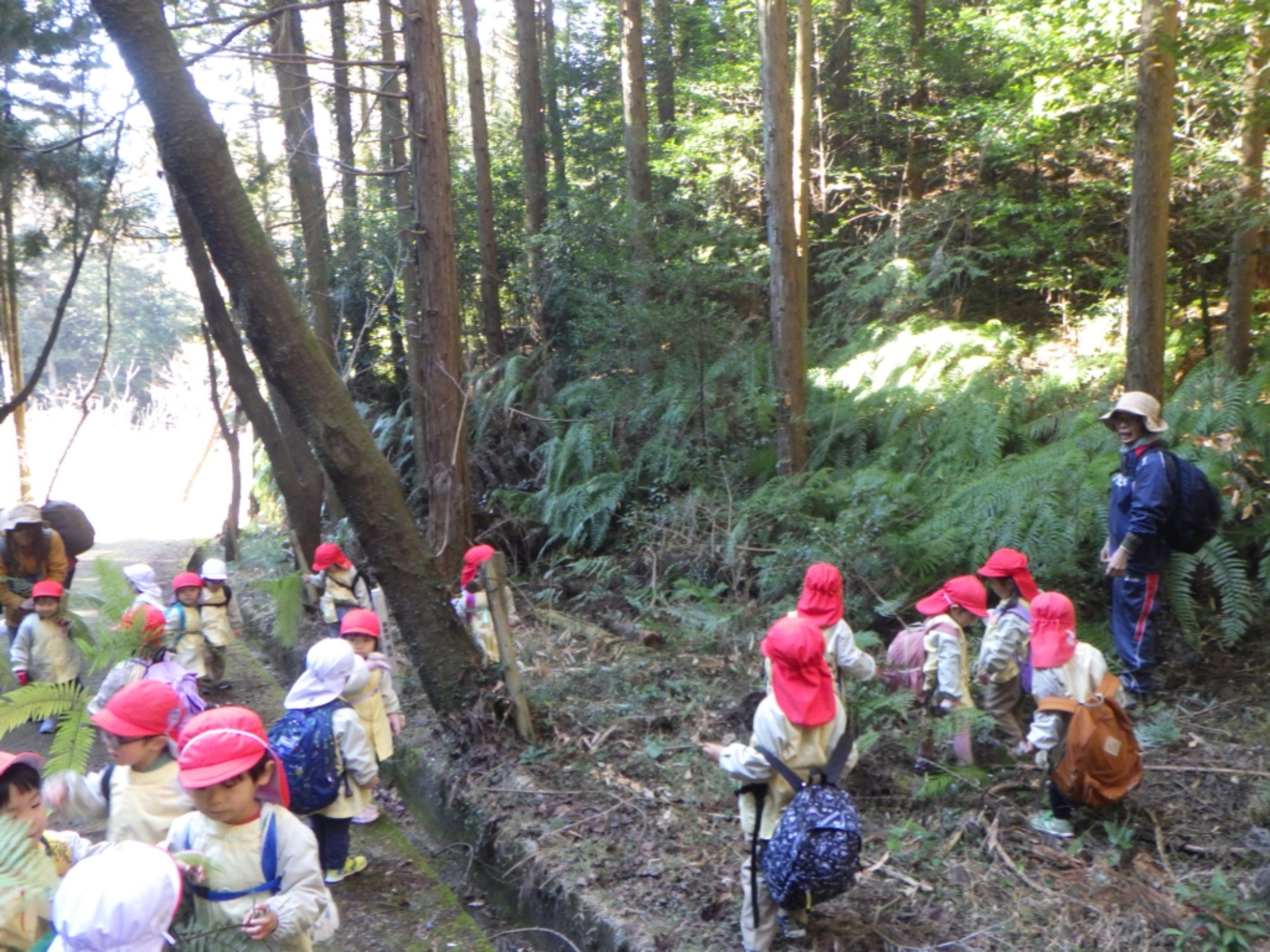 【年少】1/21　村積山　園外保育（1/3）