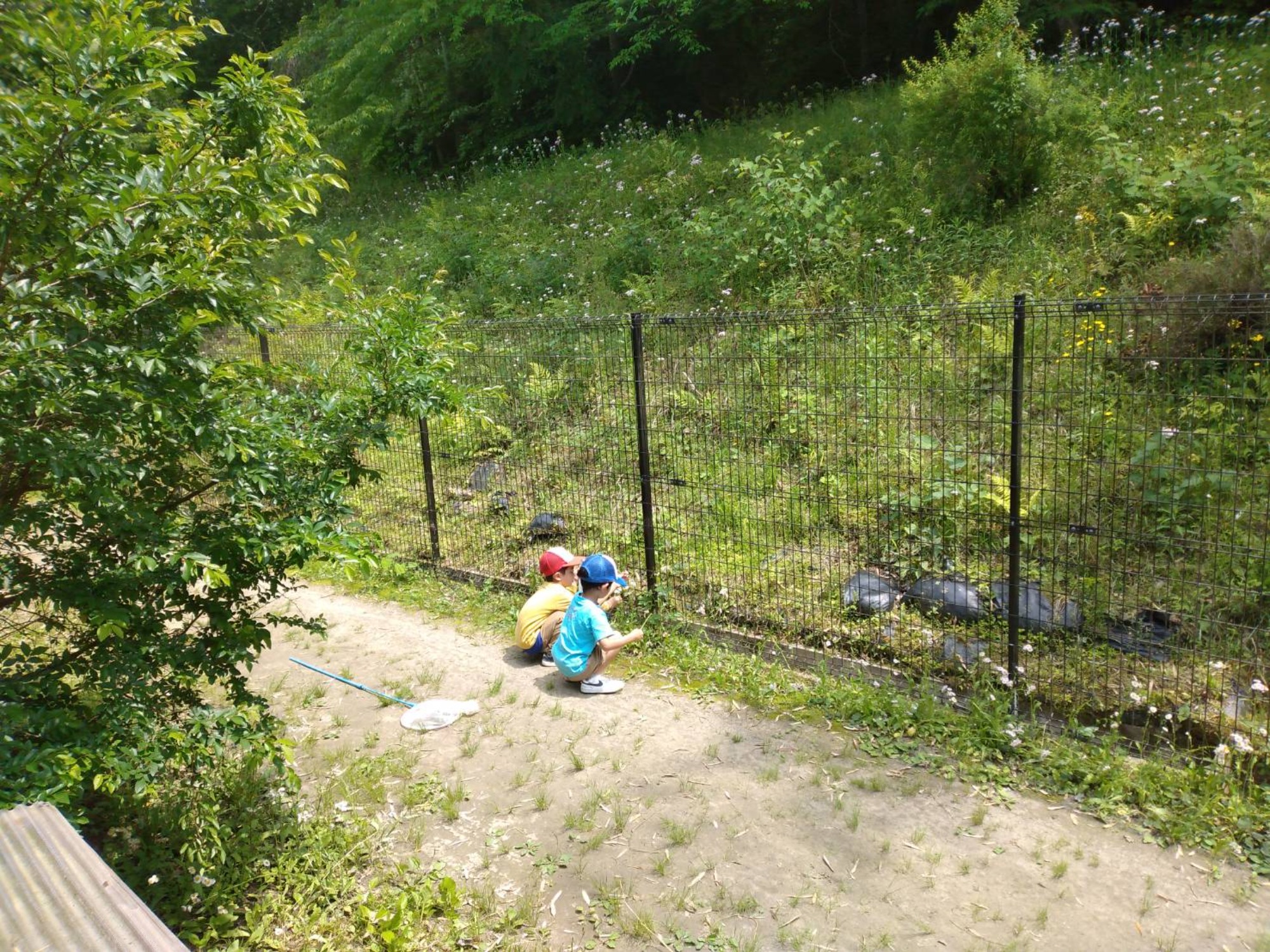 避難訓練（地震）