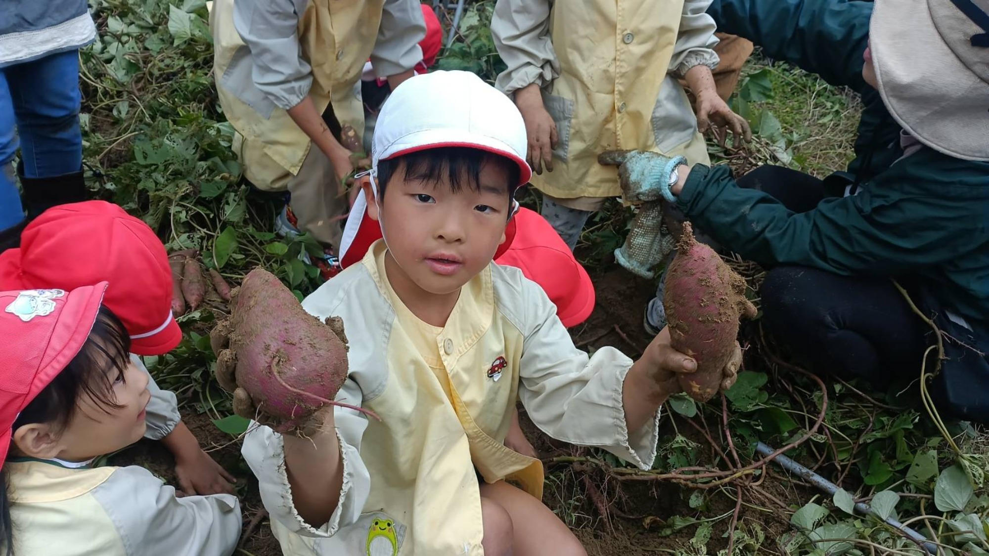 おいも掘り（1/3）