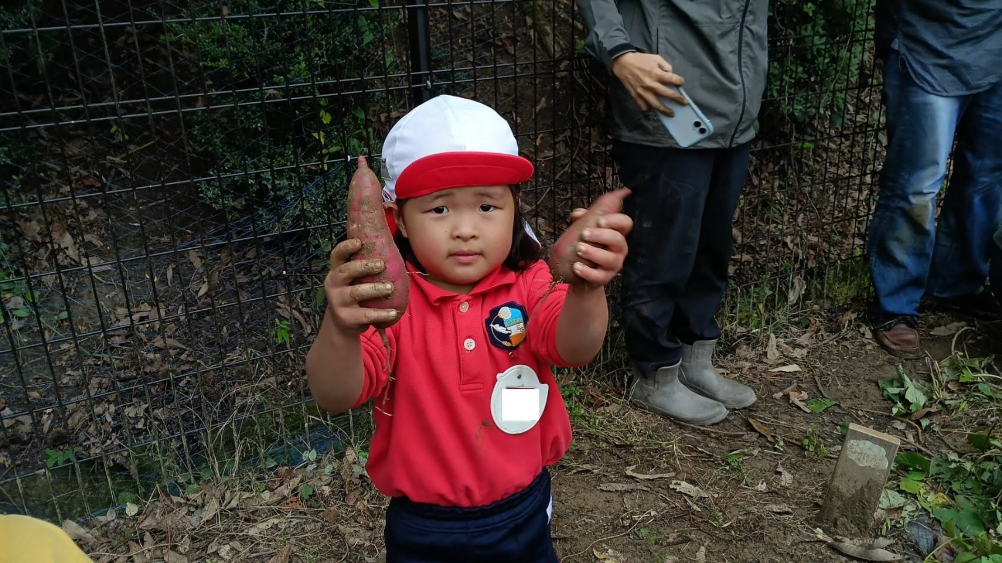 おいも掘り（2/3）