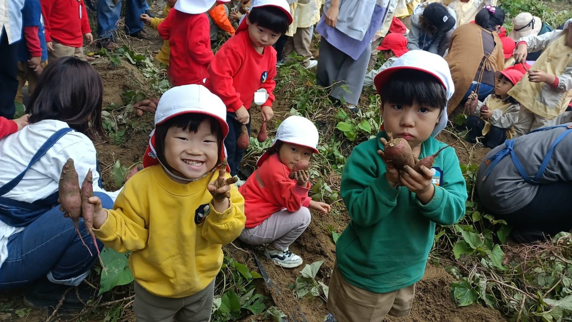 おいも掘り（3/3）