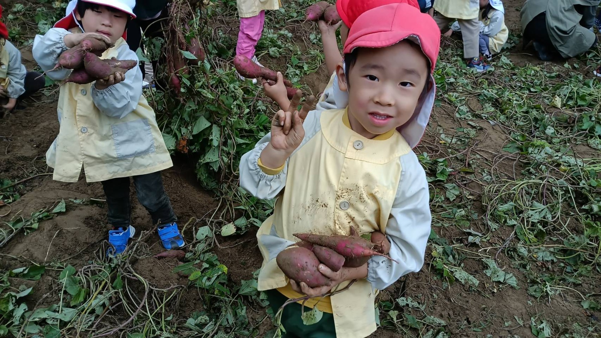 おいも掘り（3/3）