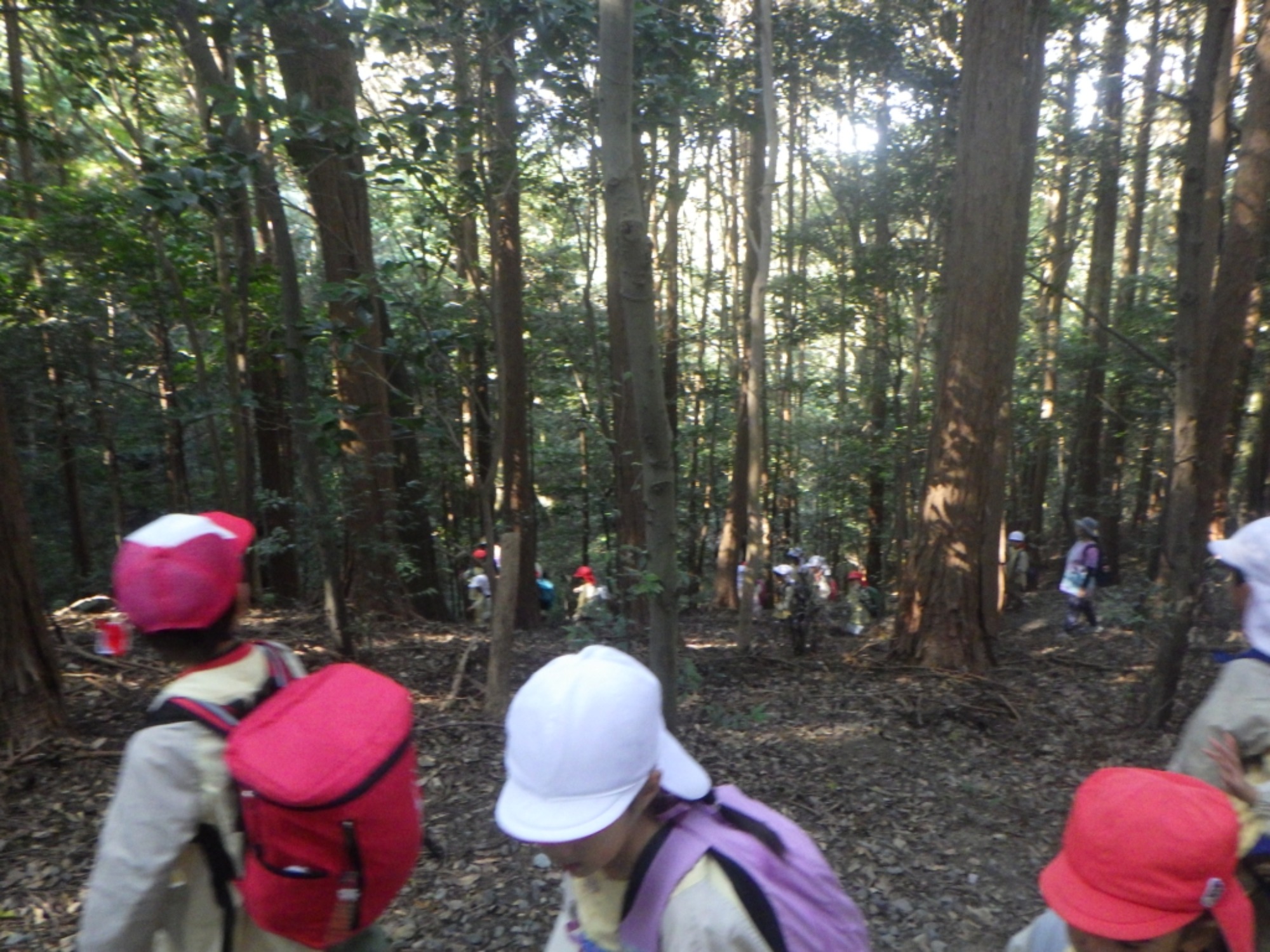 【年長】11/7　村積山　園外保育（1/4）