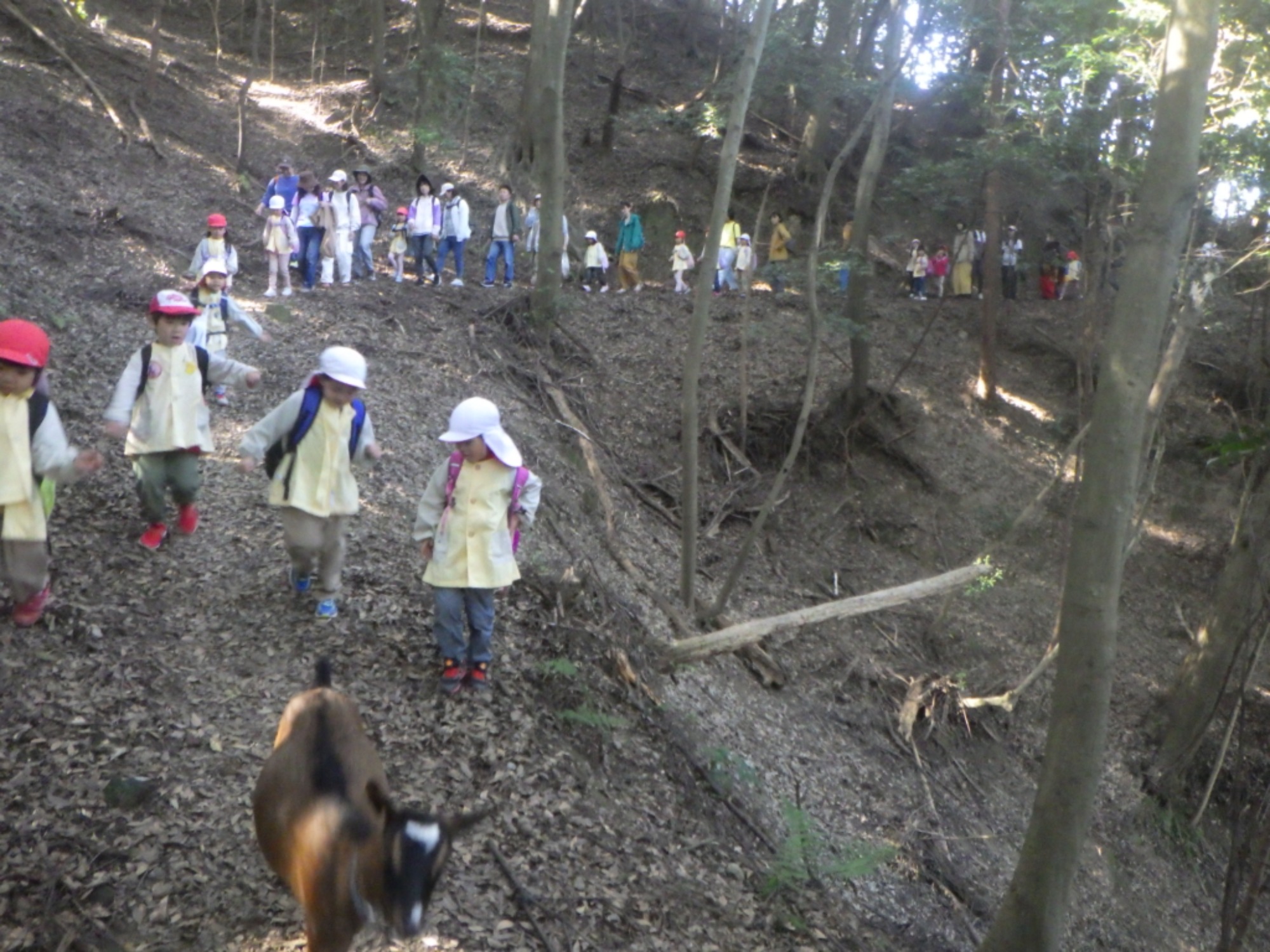 【年長】11/7　村積山　園外保育（1/4）