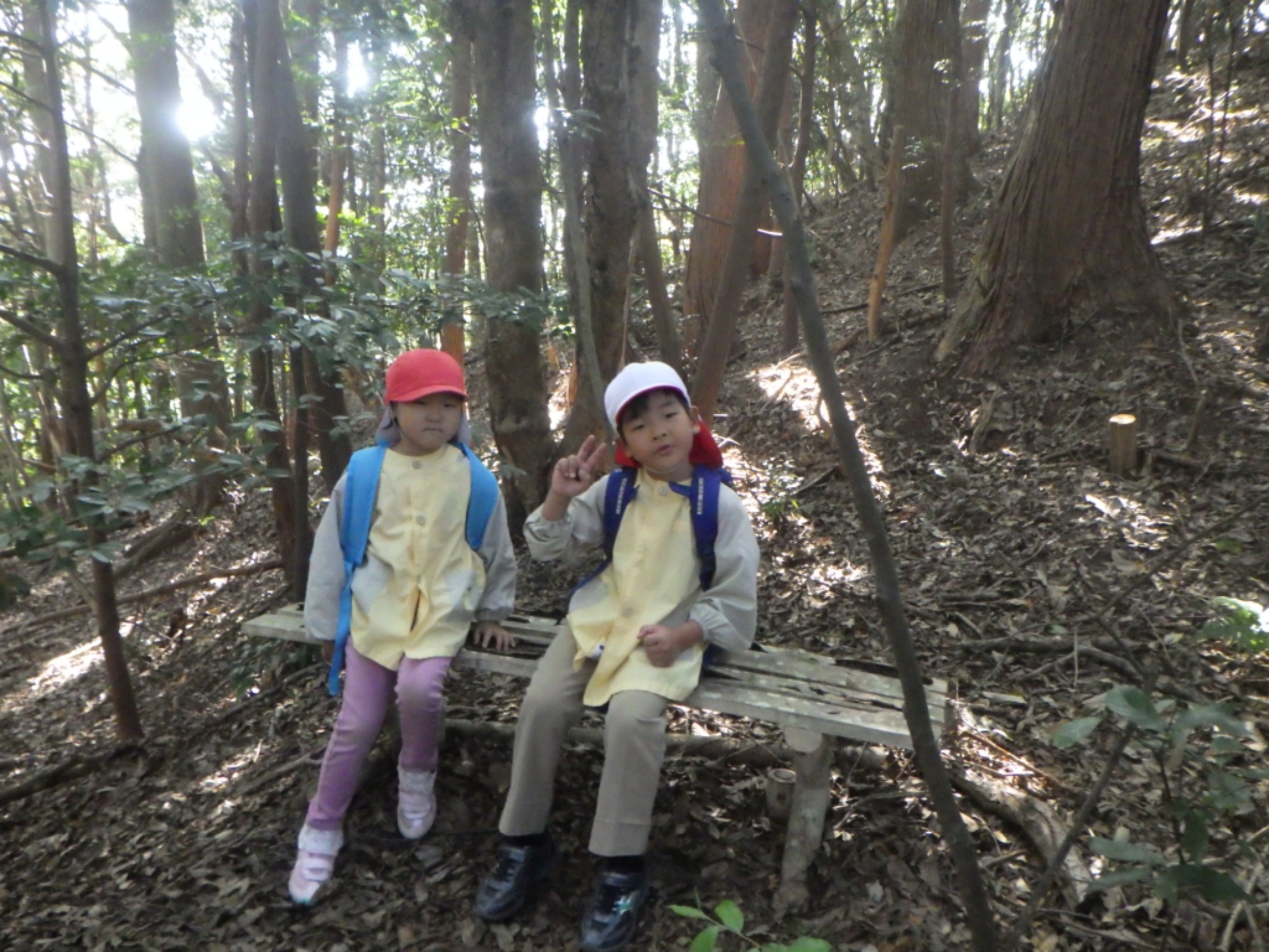 【年長】11/7　村積山　園外保育（1/4）