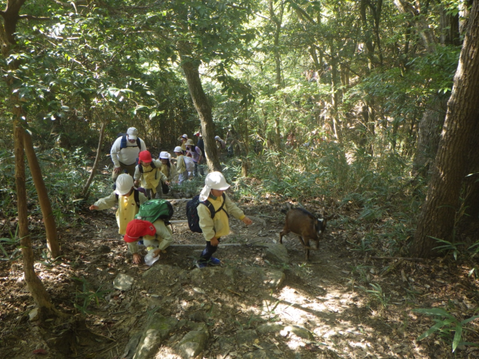 【年長】11/7　村積山　園外保育（1/4）