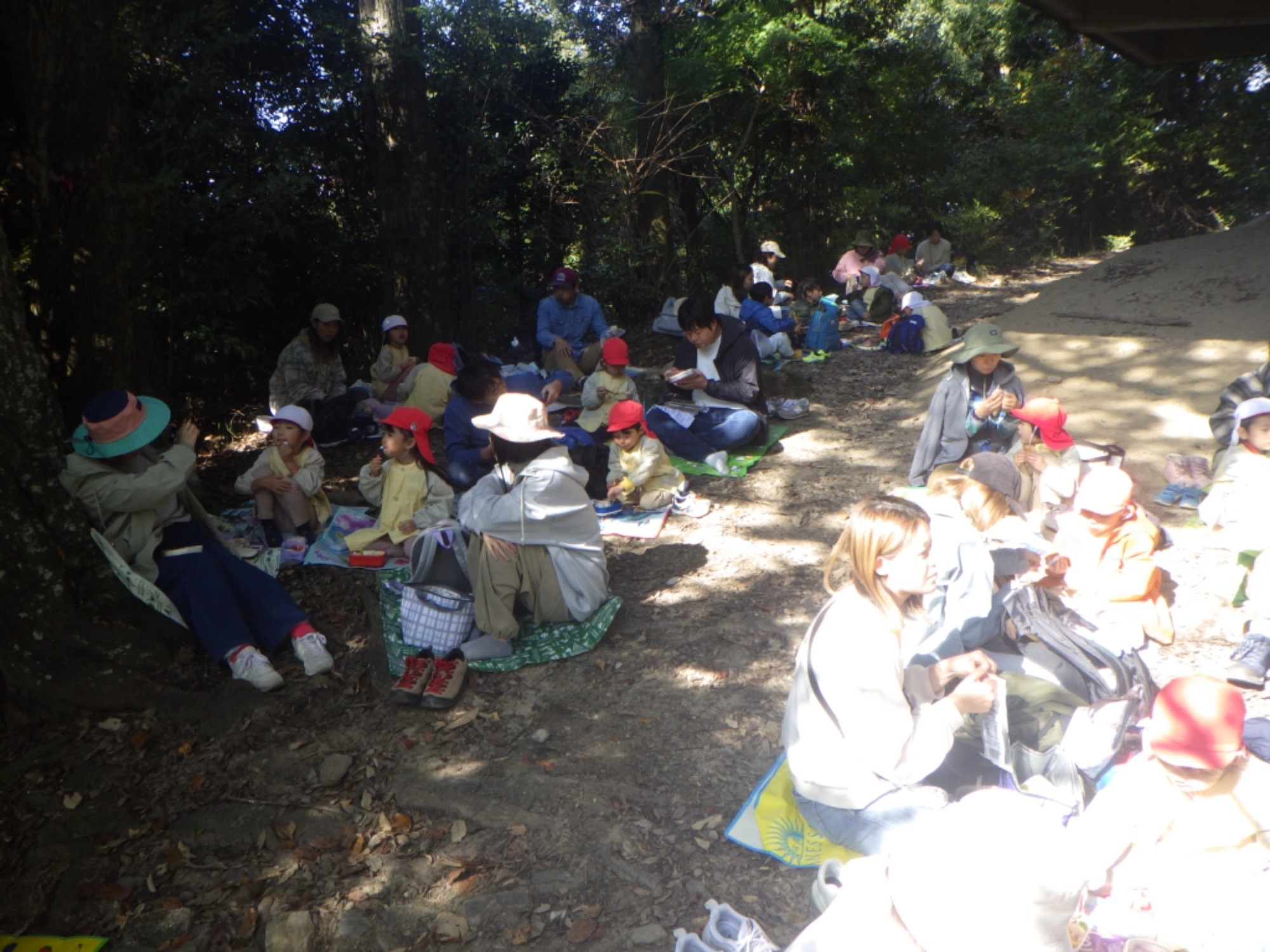 【年長】11/7　村積山　園外保育（2/4）