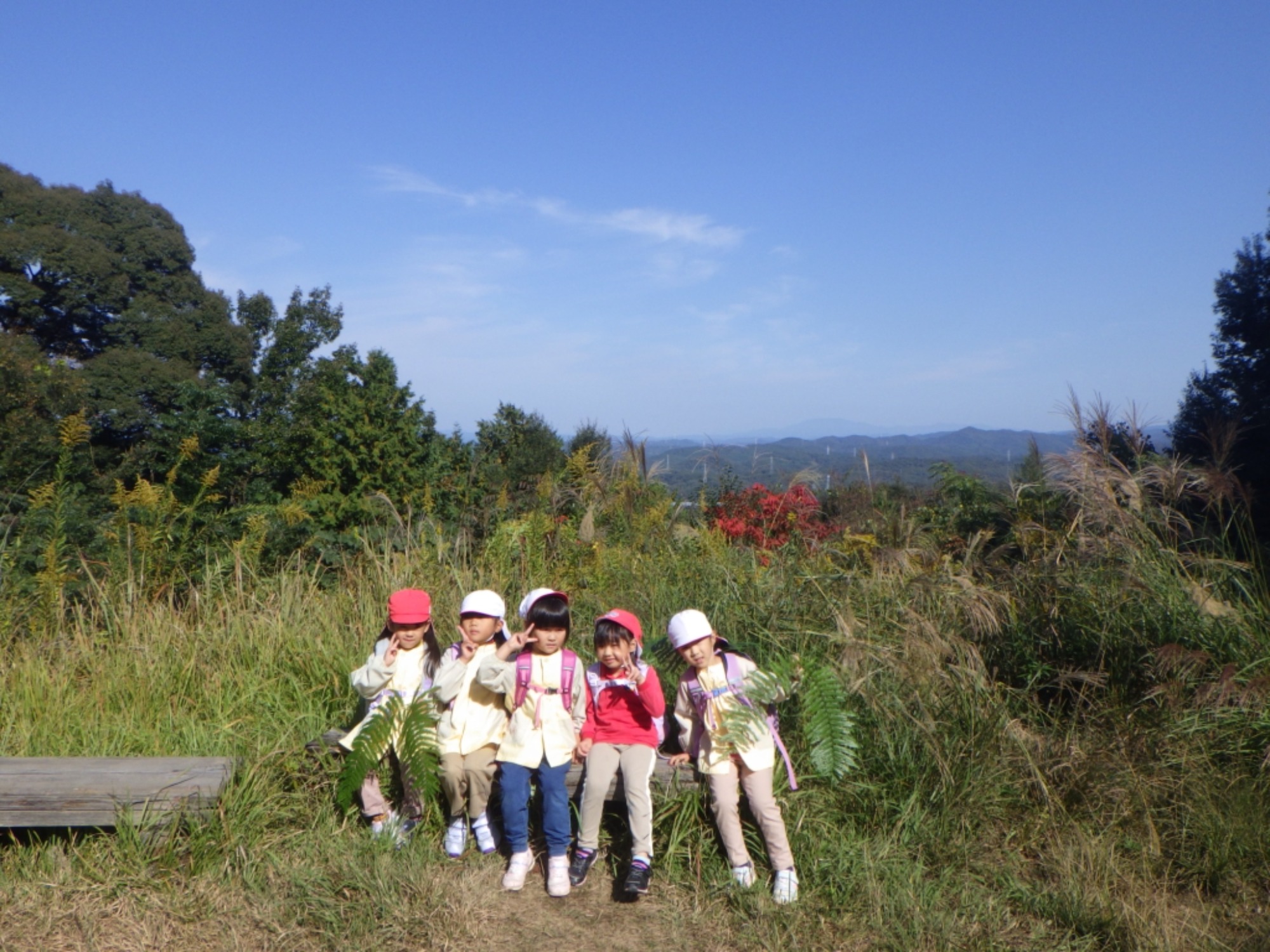 【年長】11/7　村積山　園外保育（2/4）