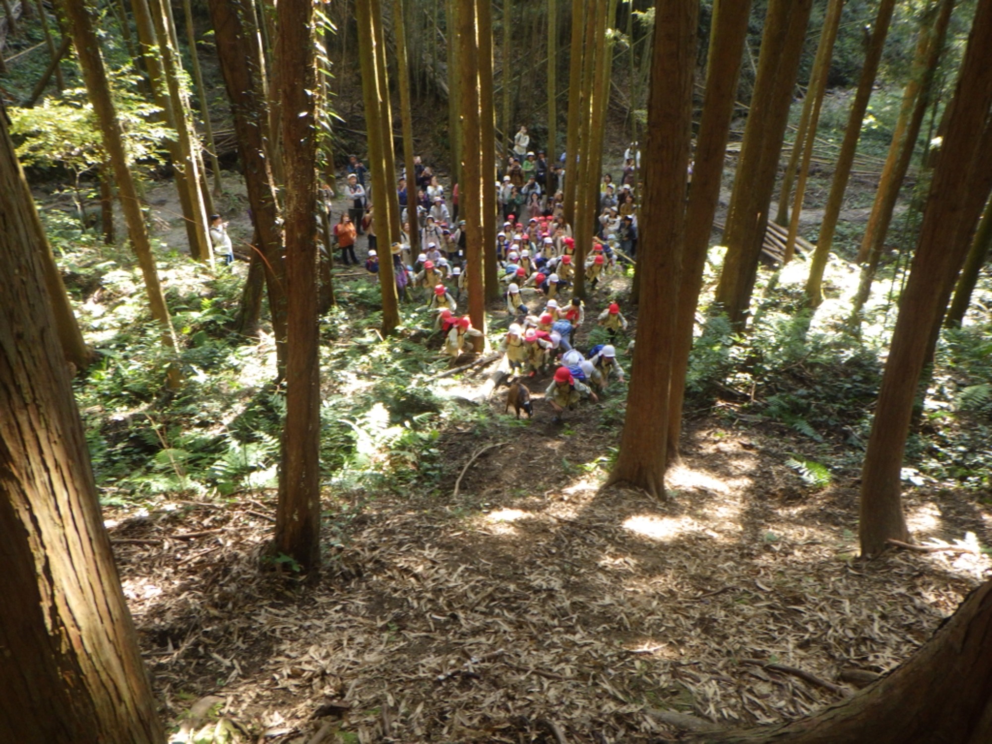 【年長】11/7　村積山　園外保育（3/4）