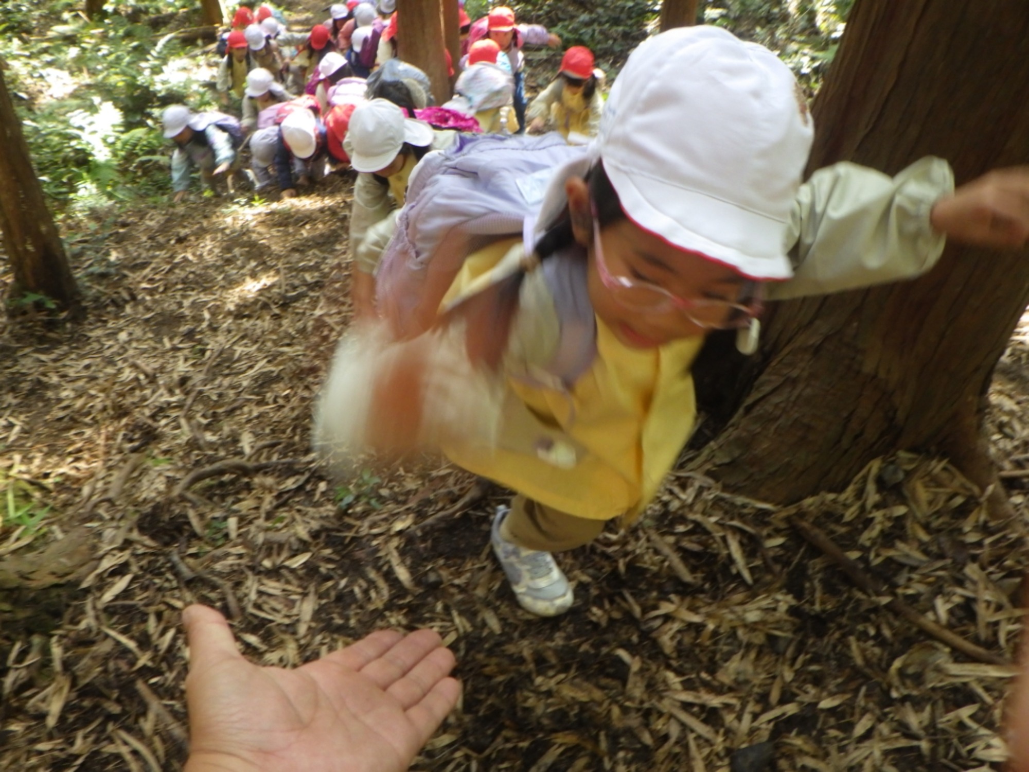 【年長】11/7　村積山　園外保育（3/4）