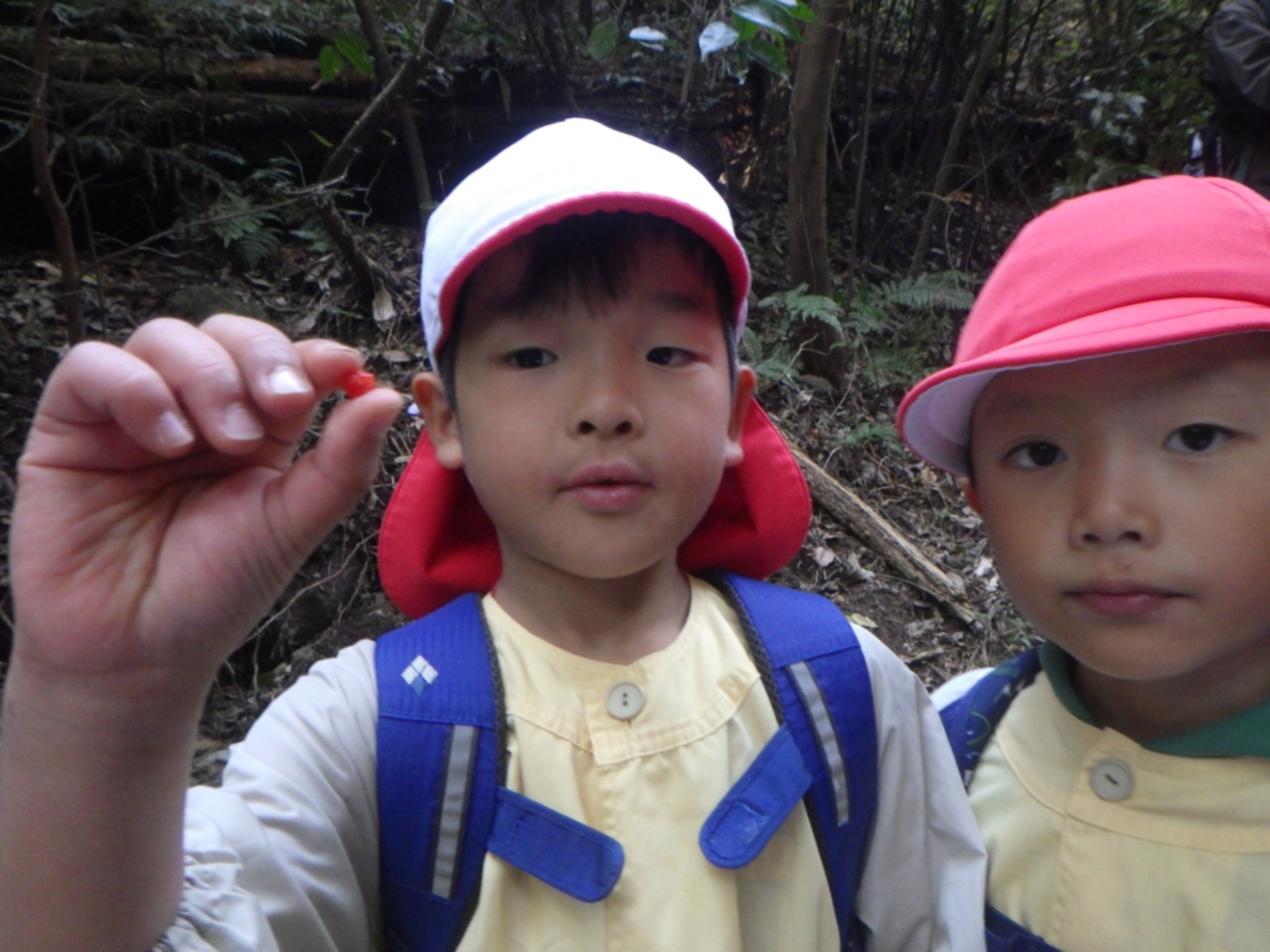 【年長】11/7　村積山　園外保育（3/4）