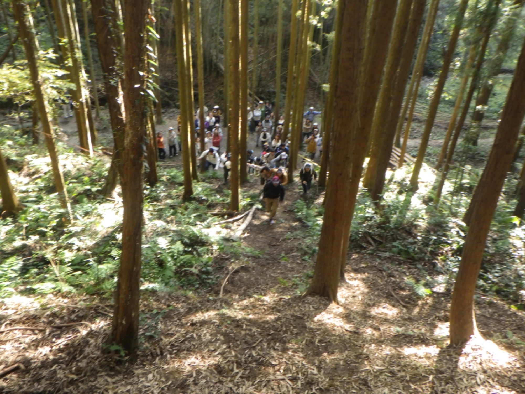 【年長】11/7　村積山　園外保育（4/4）