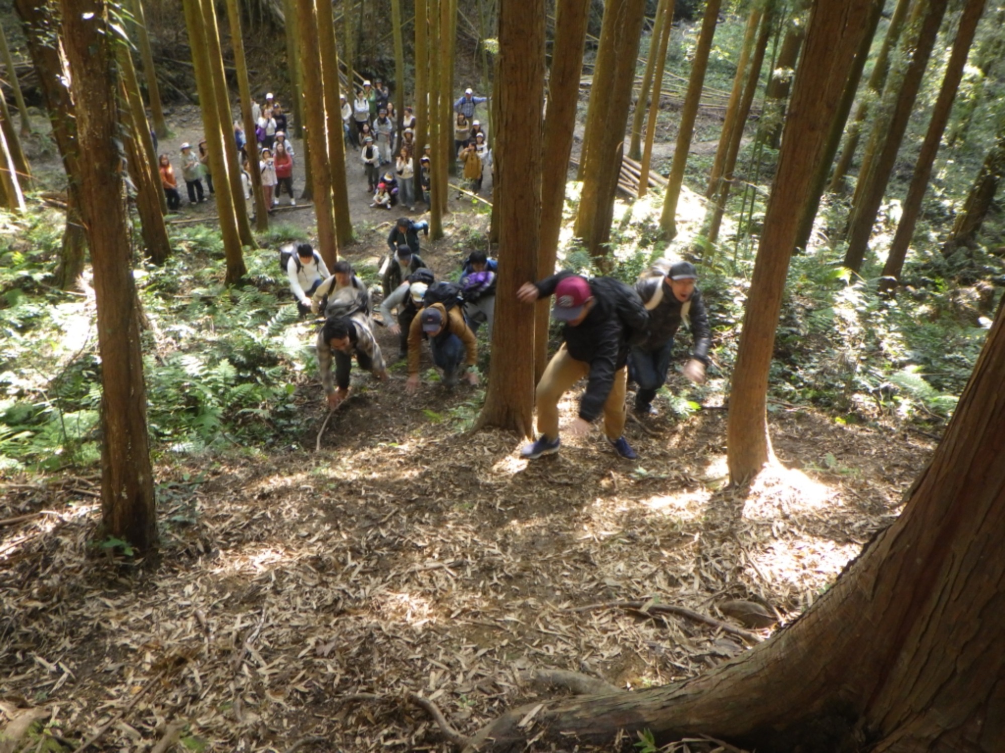 【年長】11/7　村積山　園外保育（4/4）