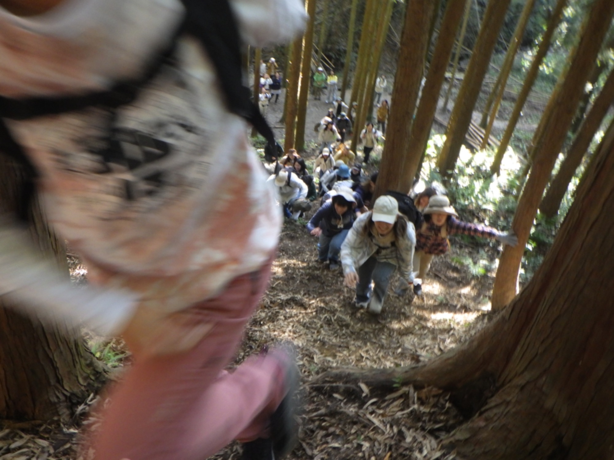 【年長】11/7　村積山　園外保育（4/4）