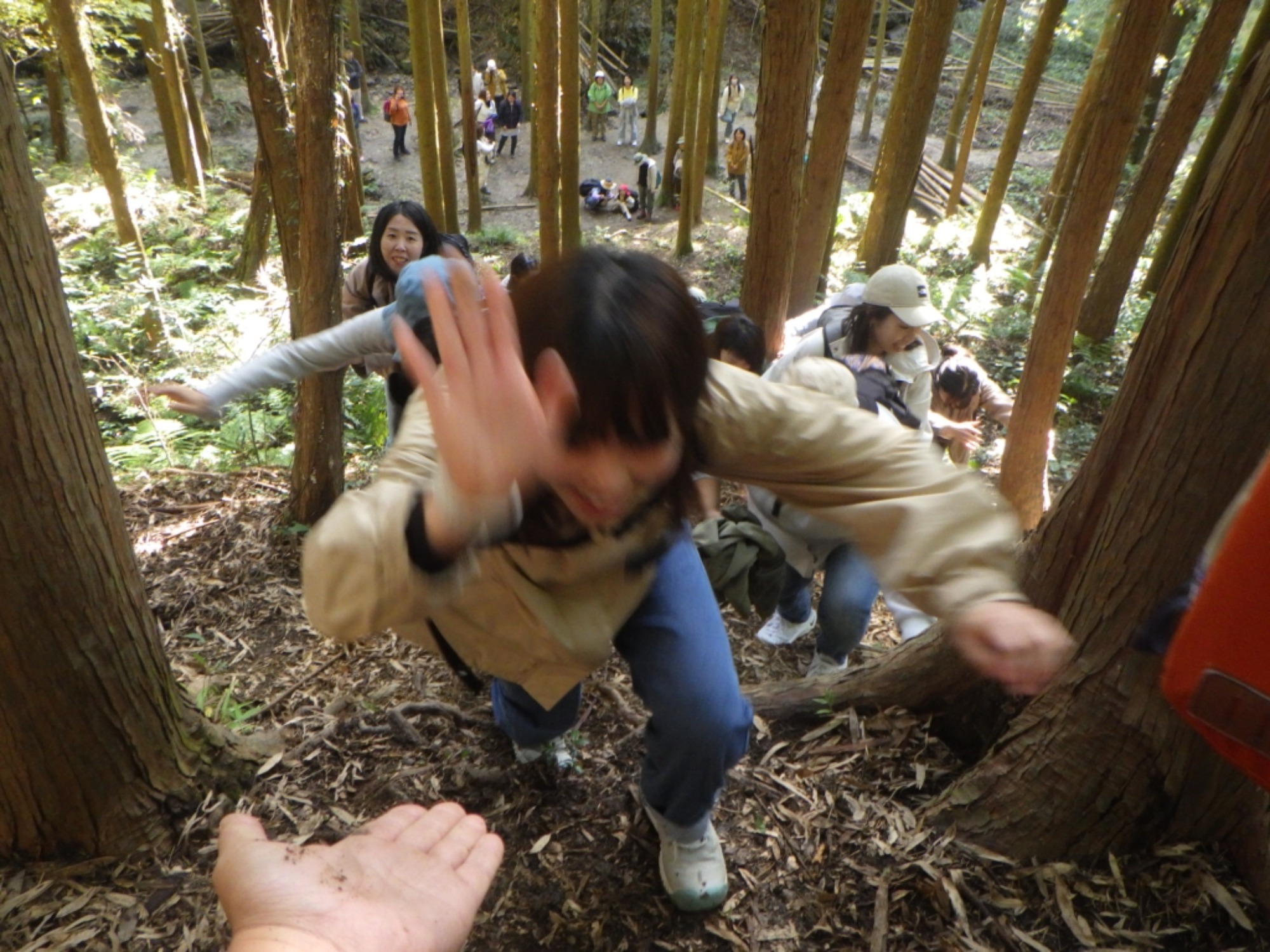 【年長】11/7　村積山　園外保育（4/4）