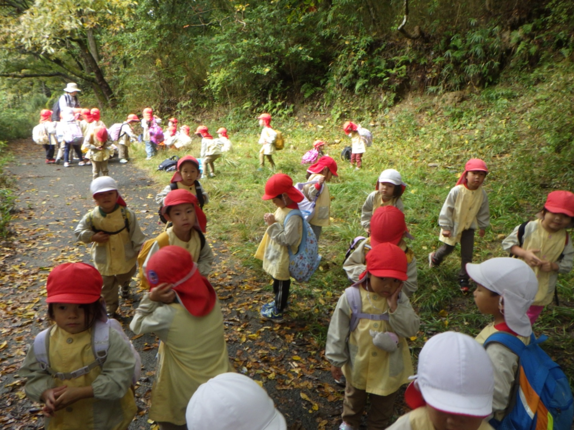 【年中】11/10　村積山　園外保育（1/3）