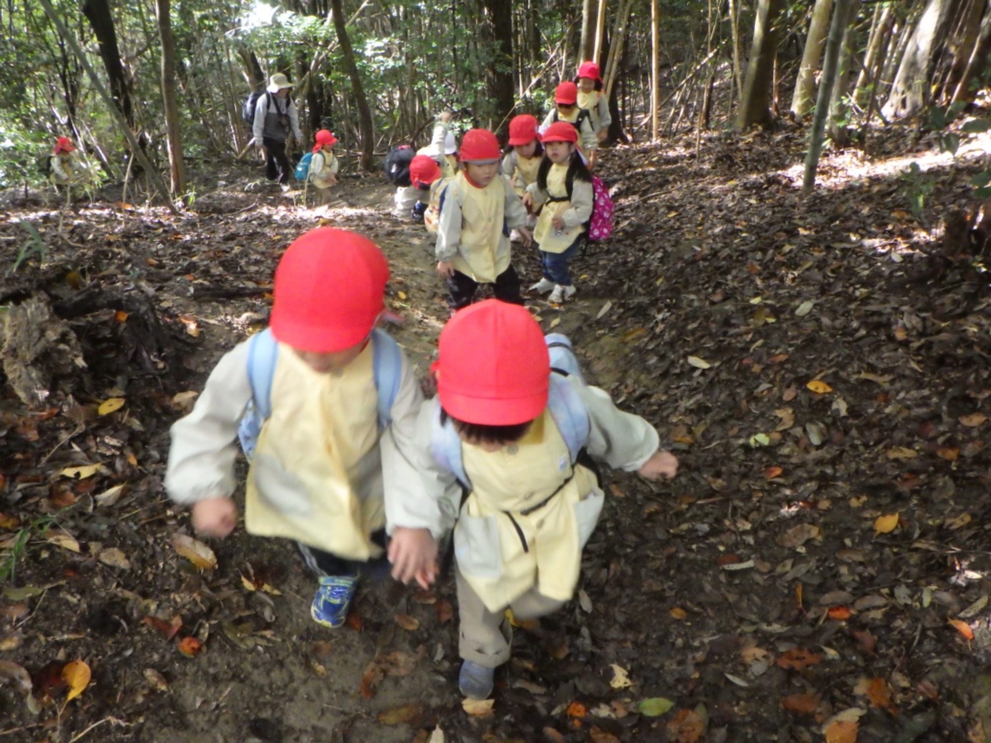 【年中】11/10　村積山　園外保育（1/3）