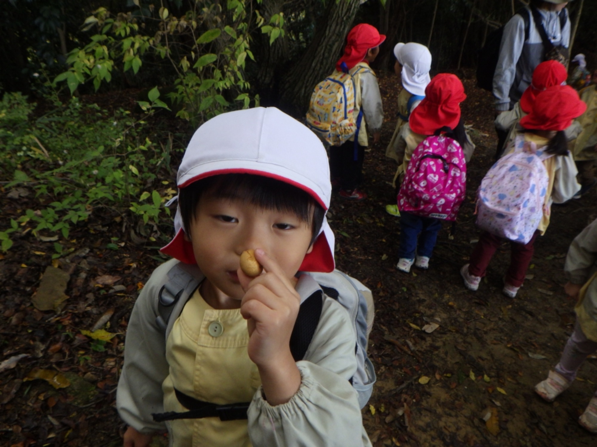 【年中】11/10　村積山　園外保育（1/3）