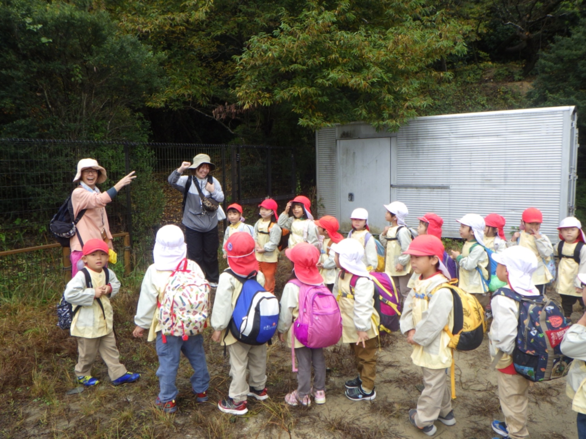 【年中】11/10　村積山　園外保育（1/3）