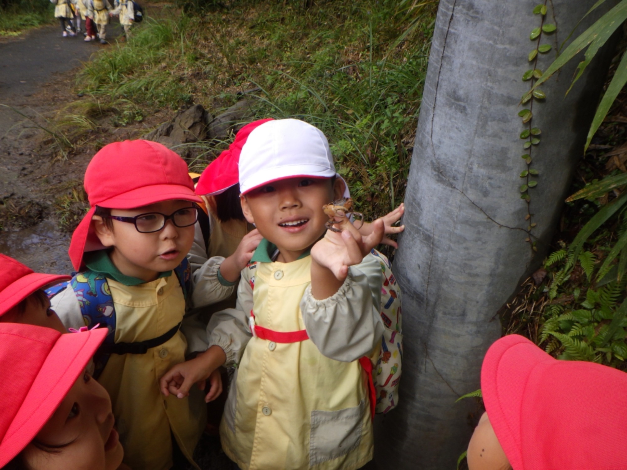 【年中】11/10　村積山　園外保育（1/3）