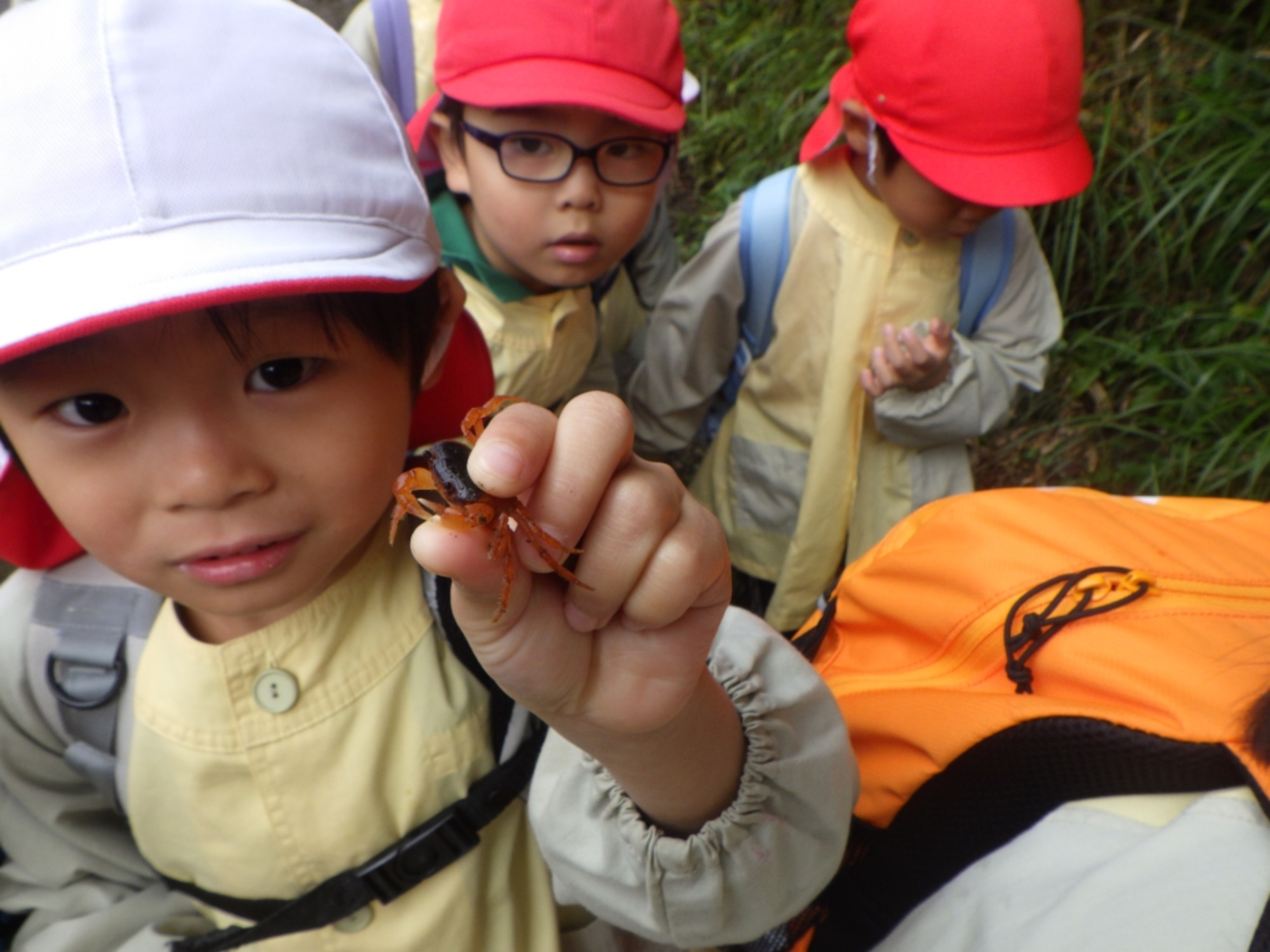 【年中】11/10　村積山　園外保育（1/3）