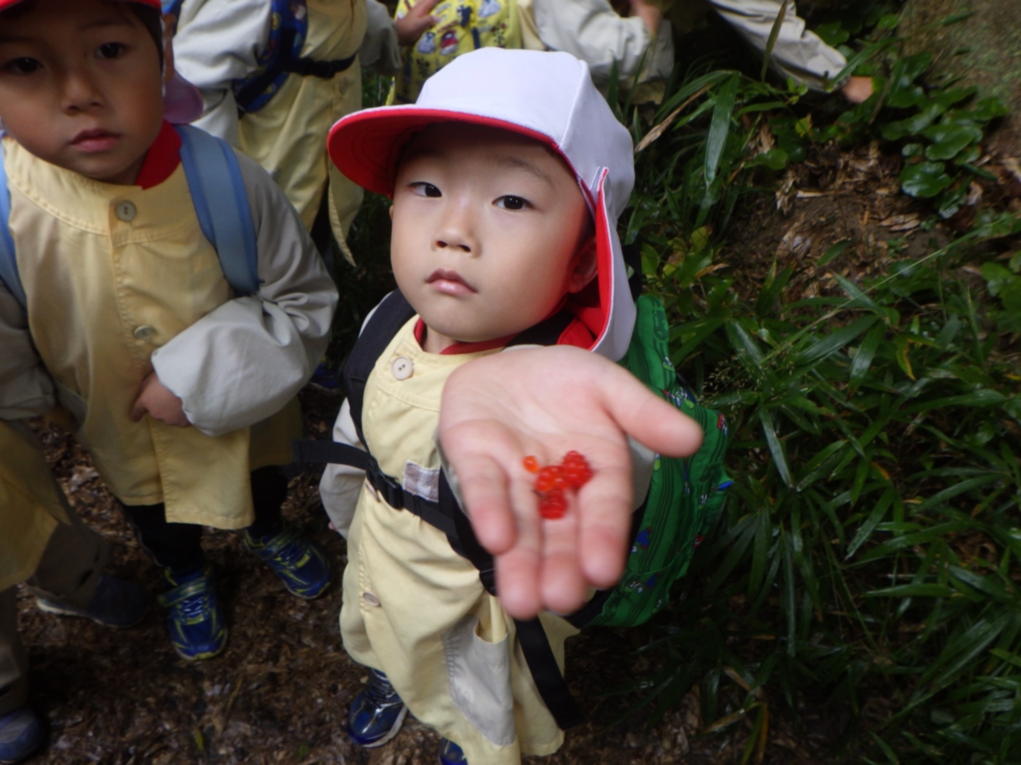【年中】11/10　村積山　園外保育（1/3）