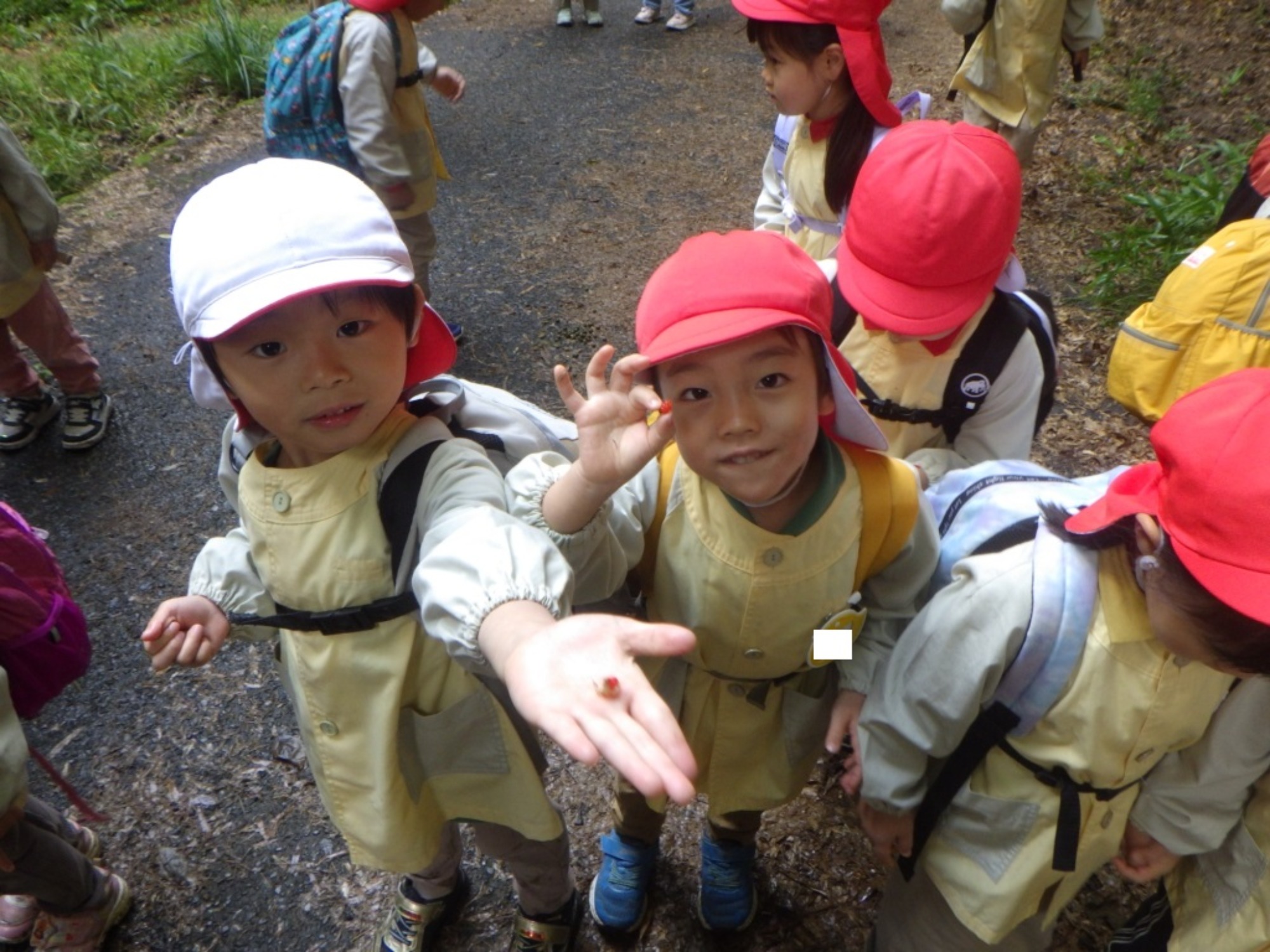 【年中】11/10　村積山　園外保育（1/3）