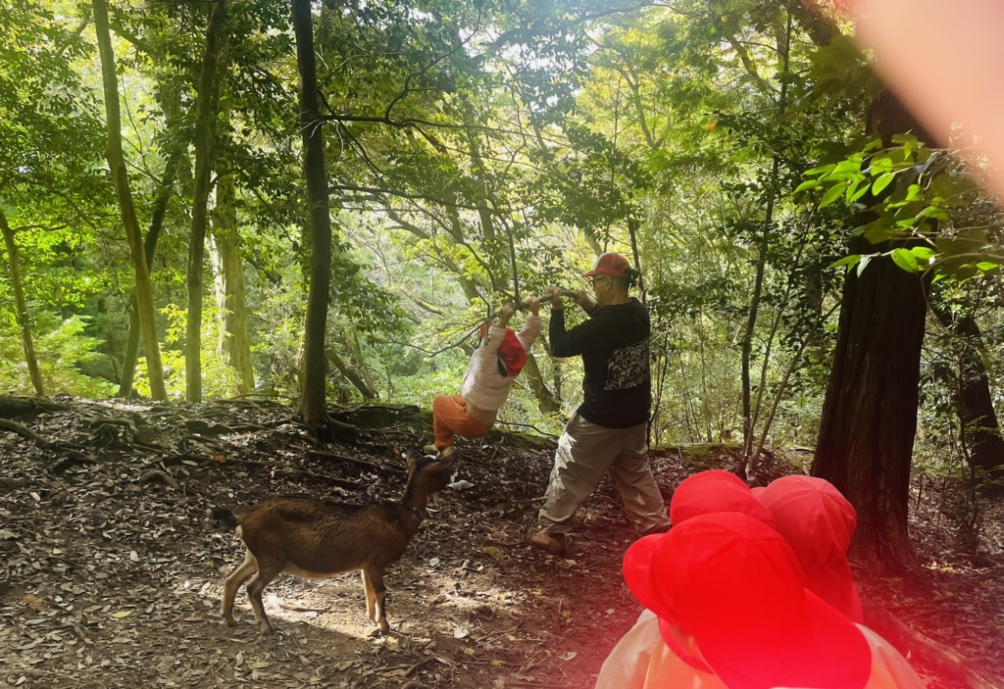 【年中】11/10　村積山　園外保育（2/3）