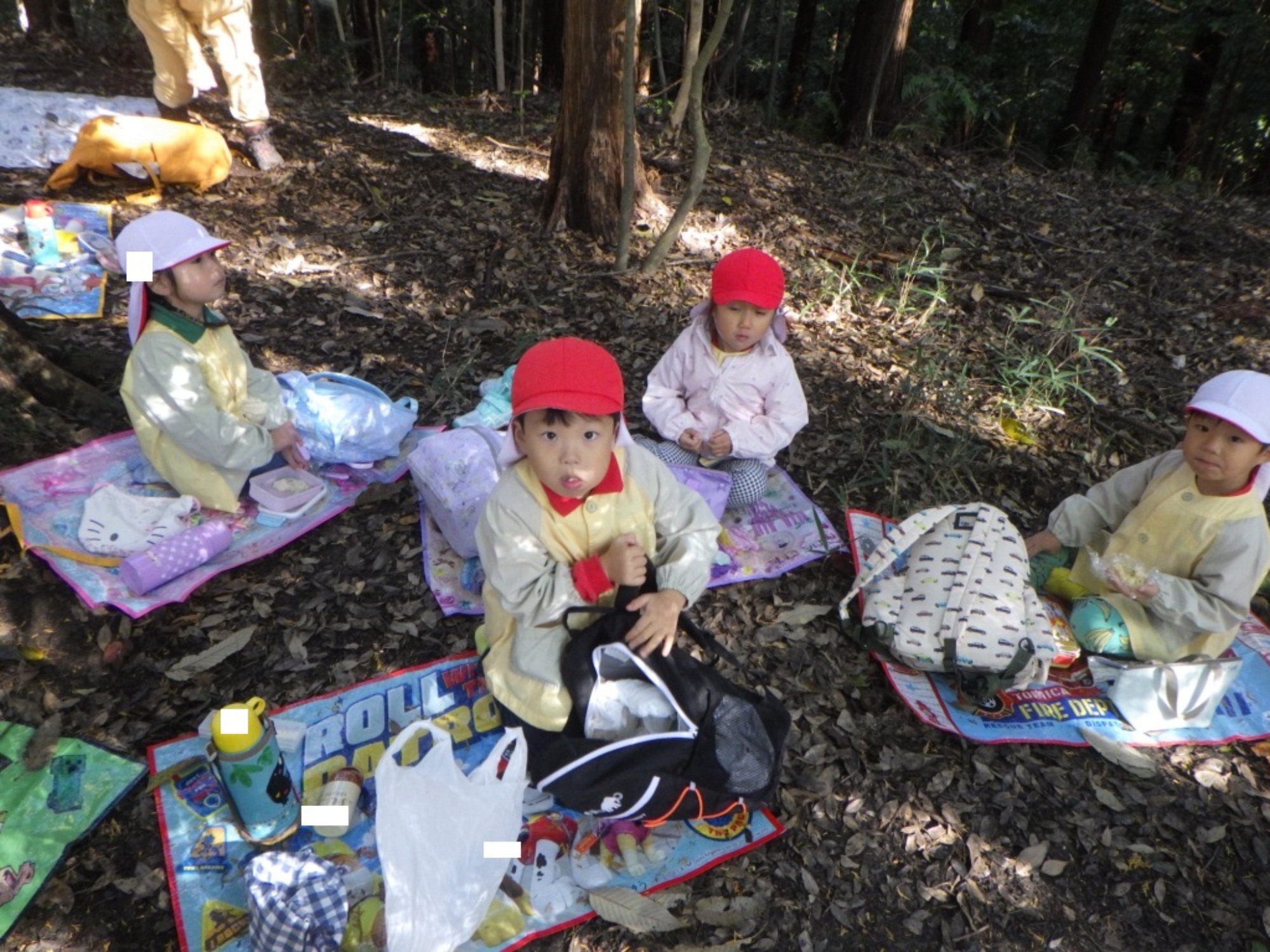 【年中】11/10　村積山　園外保育（2/3）