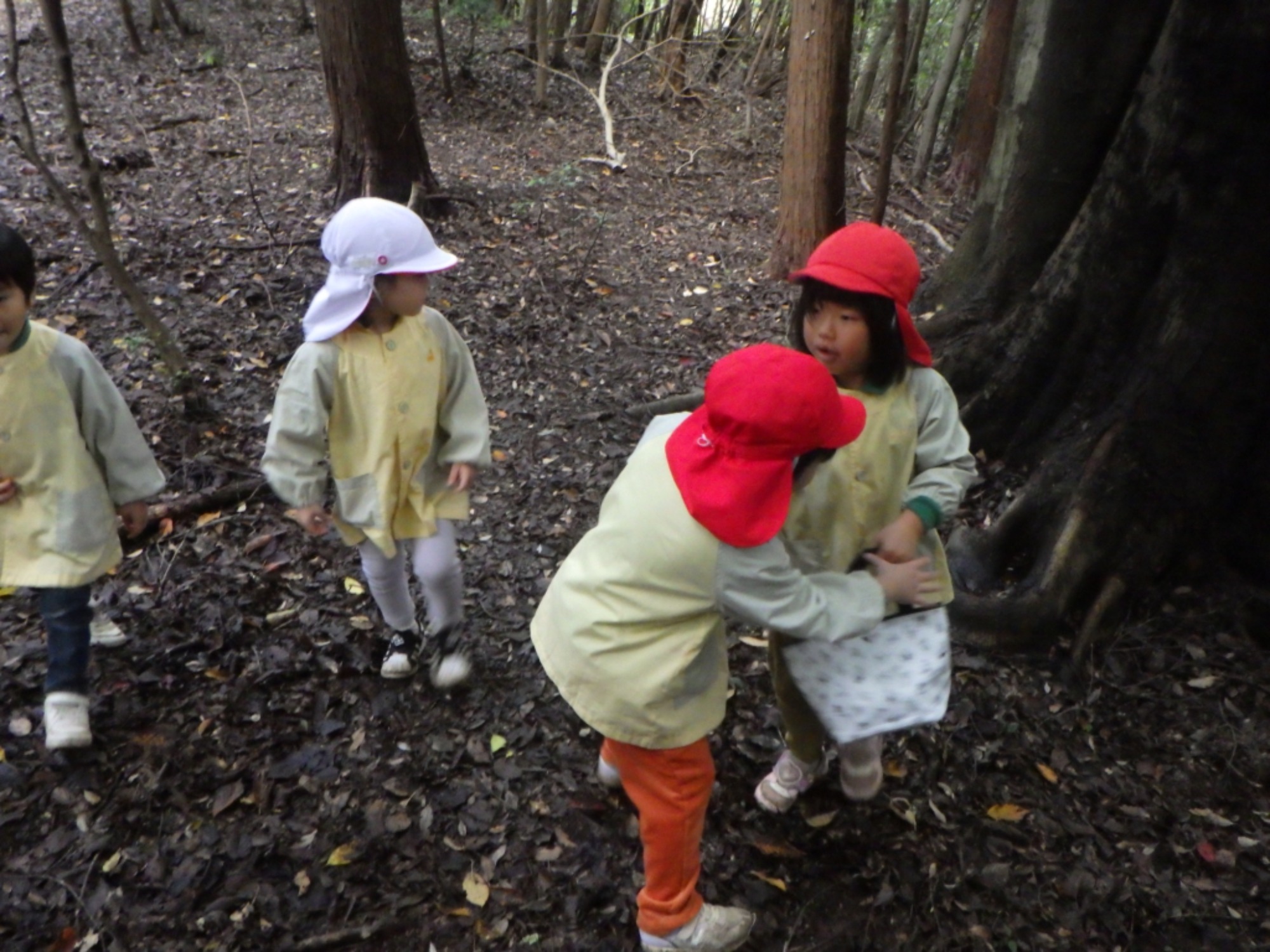 【年中】11/10　村積山　園外保育（2/3）