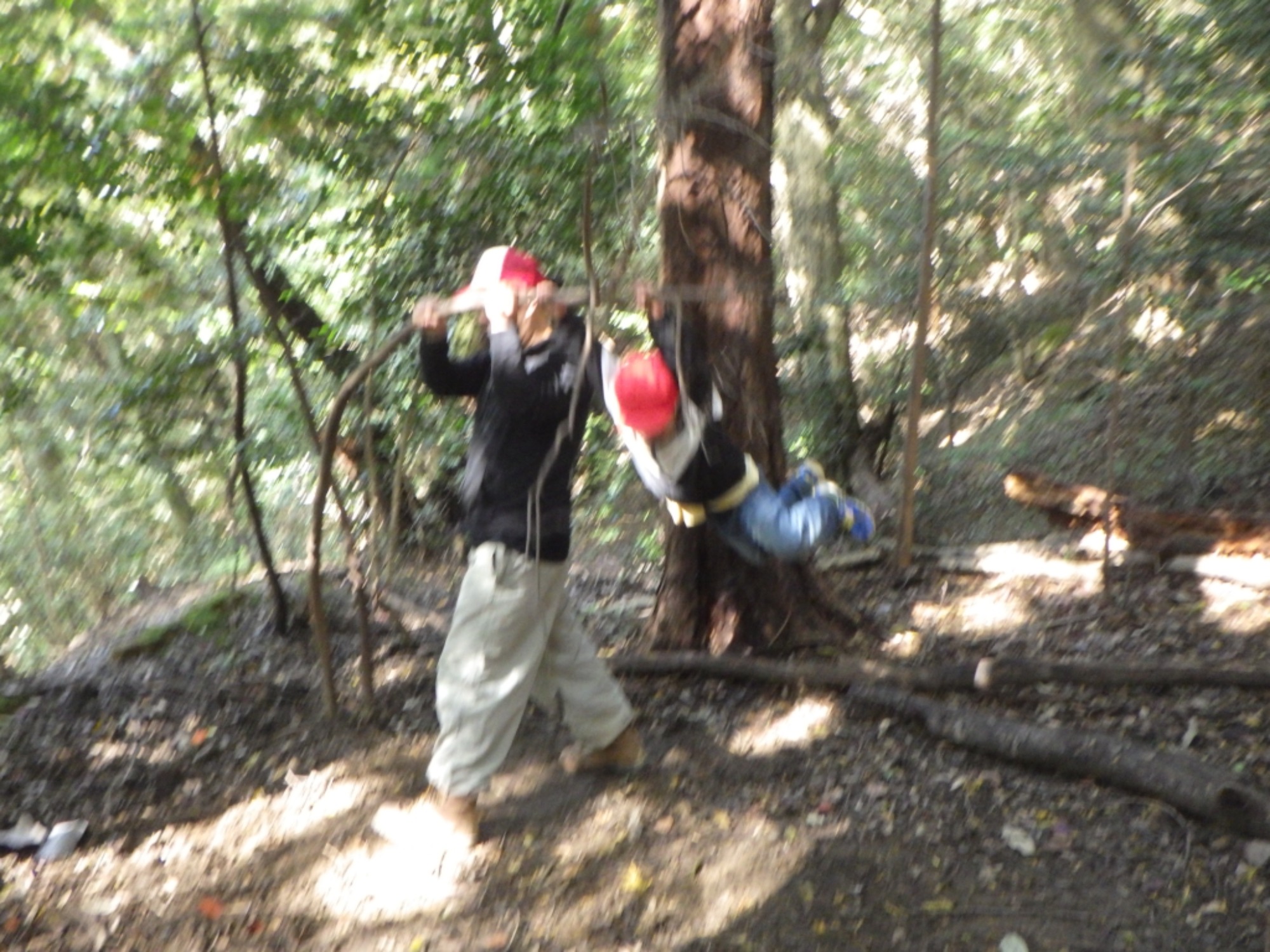 【年中】11/10　村積山　園外保育（2/3）