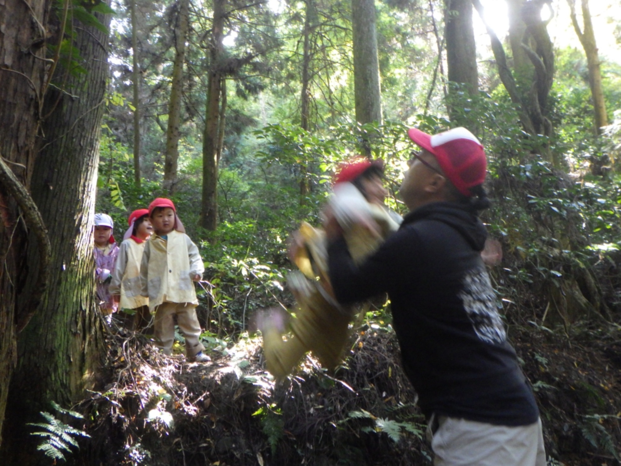 【年中】11/10　村積山　園外保育（3/3）