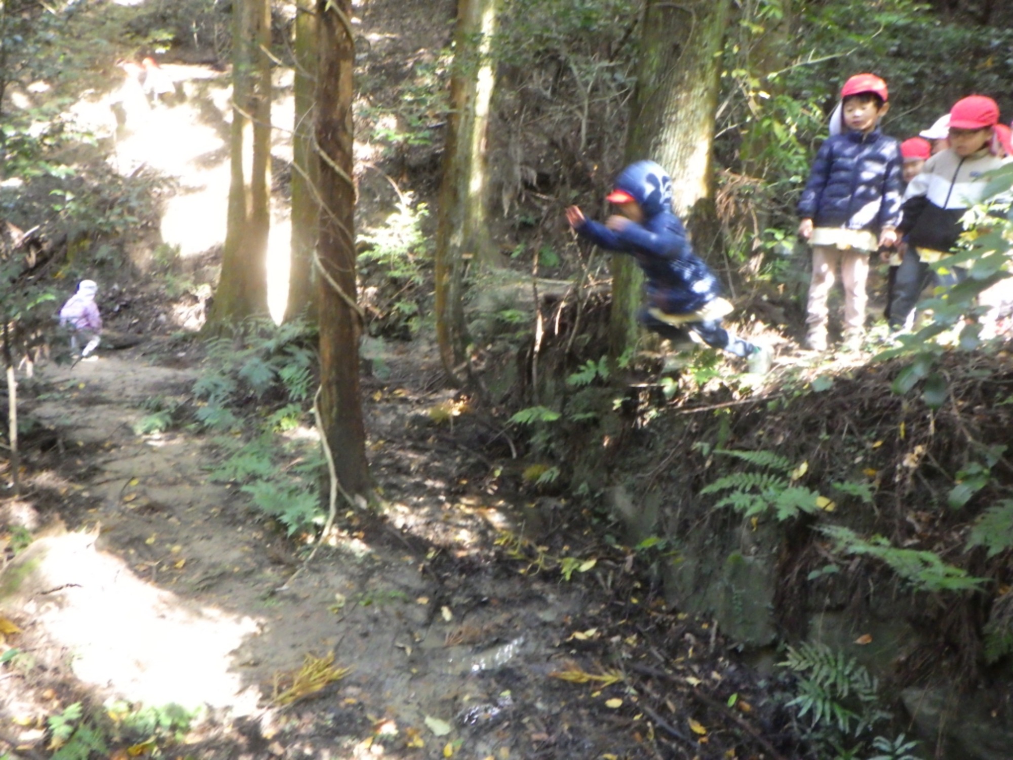 【年中】11/10　村積山　園外保育（3/3）