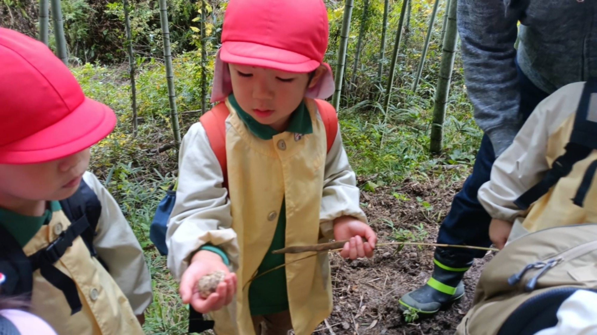 【年少】11/11　村積山　園外保育（1/3）