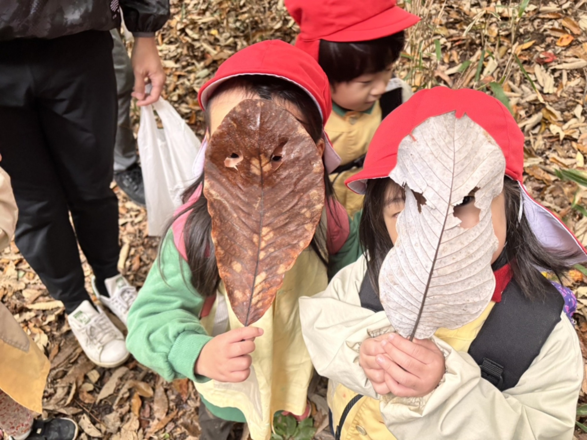 【年少】11/11　村積山　園外保育（1/3）