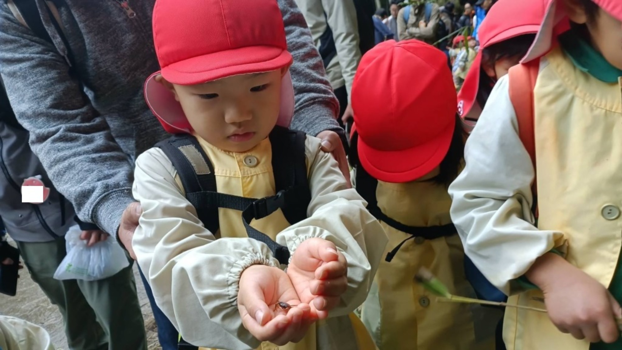 【年少】11/11　村積山　園外保育（1/3）