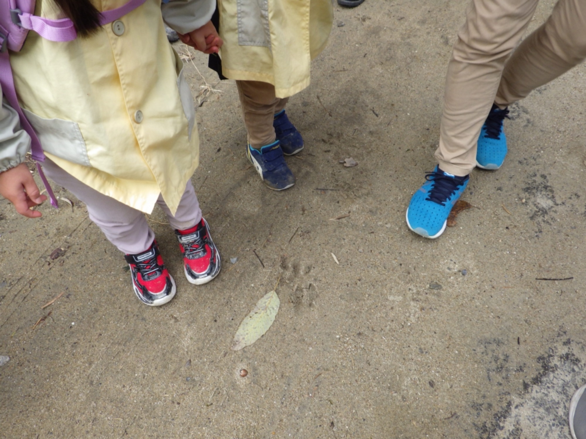 【年少】11/11　村積山　園外保育（1/3）