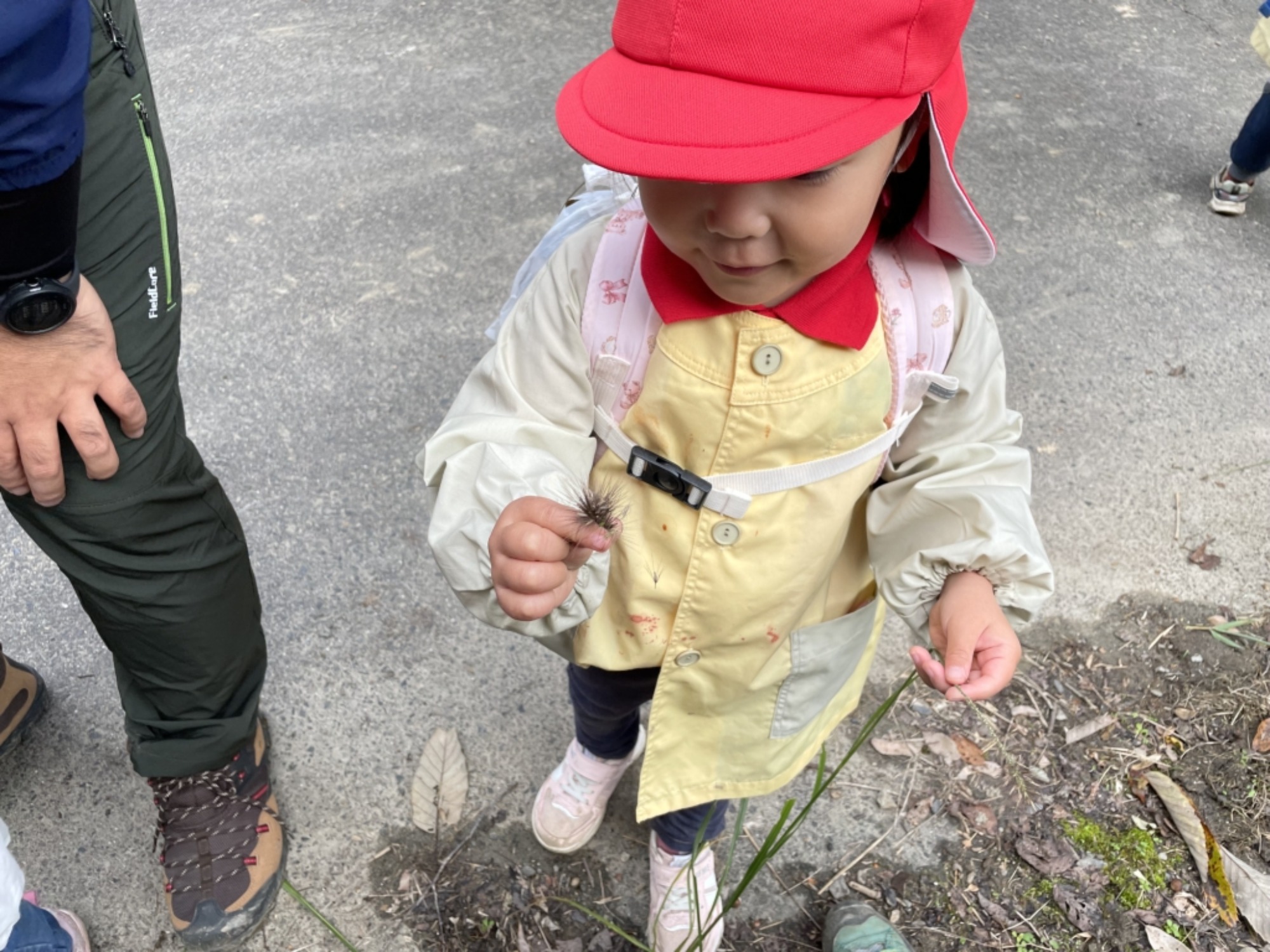 【年少】11/11　村積山　園外保育（1/3）