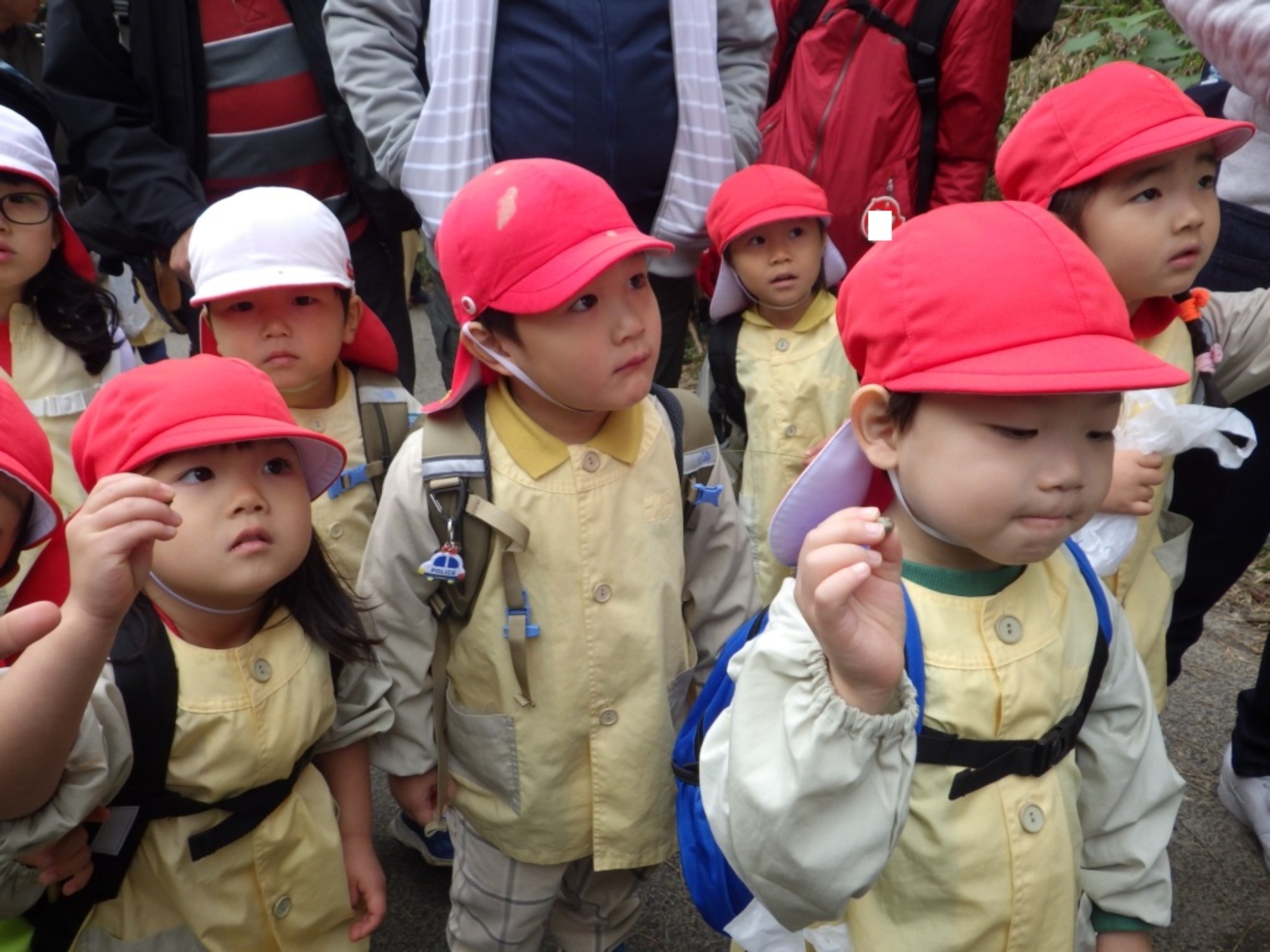 【年少】11/11　村積山　園外保育（1/3）