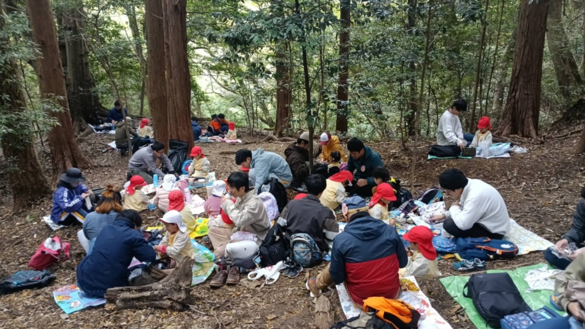 【年少】11/11　村積山　園外保育（2/3）