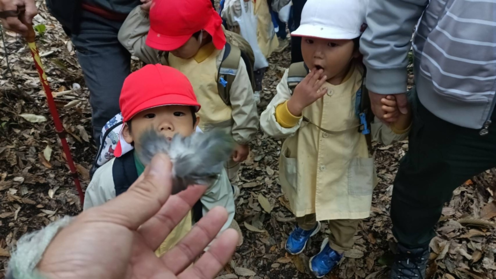 【年少】11/11　村積山　園外保育（2/3）