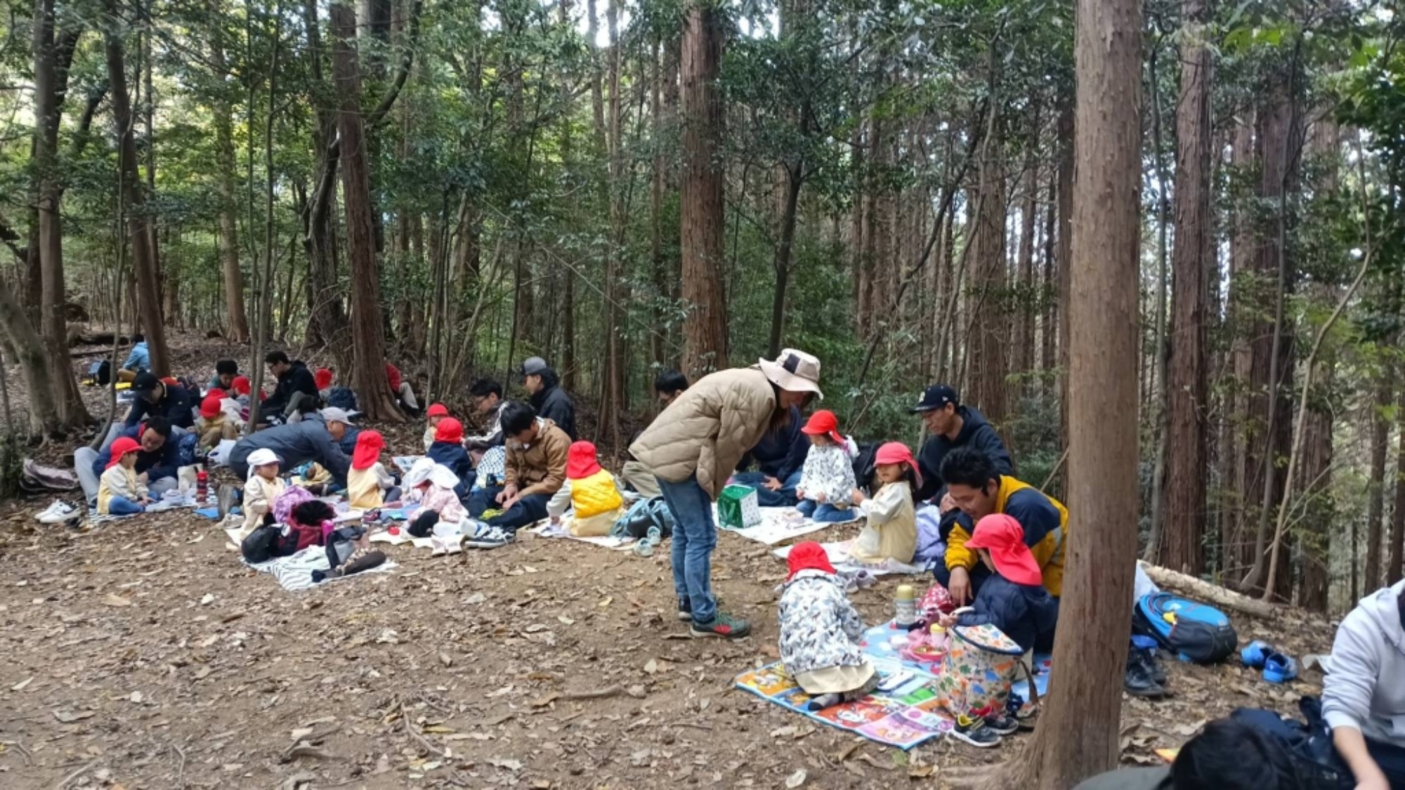 【年少】11/11　村積山　園外保育（2/3）