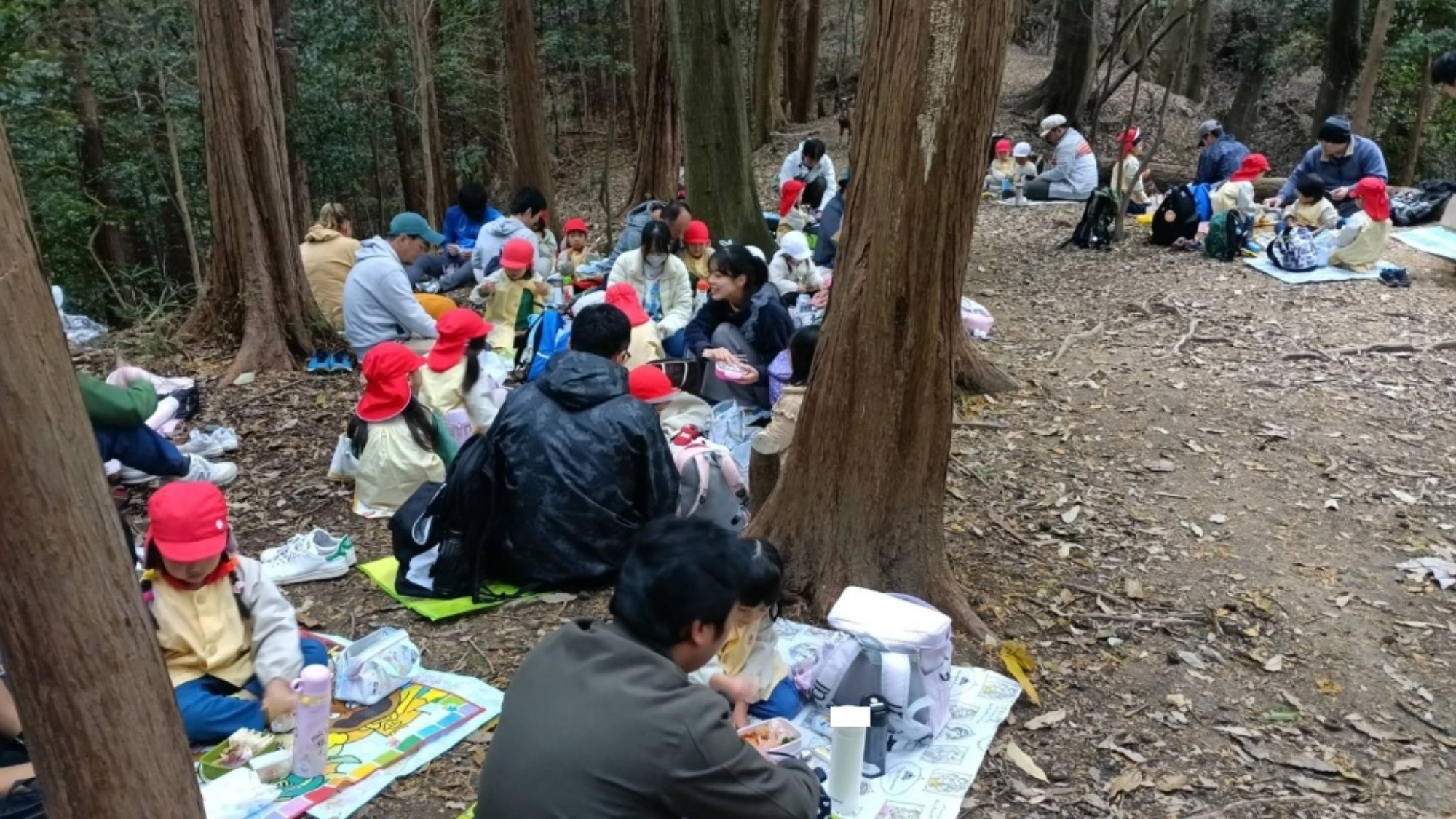 【年少】11/11　村積山　園外保育（2/3）