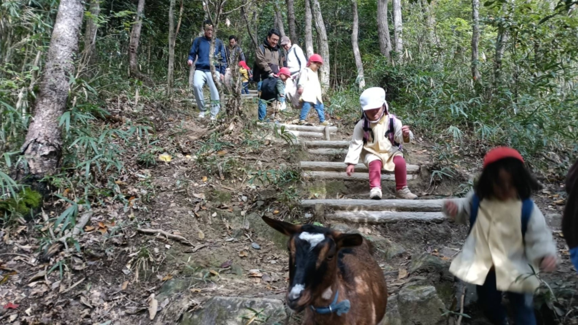【年少】11/11　村積山　園外保育（3/3）