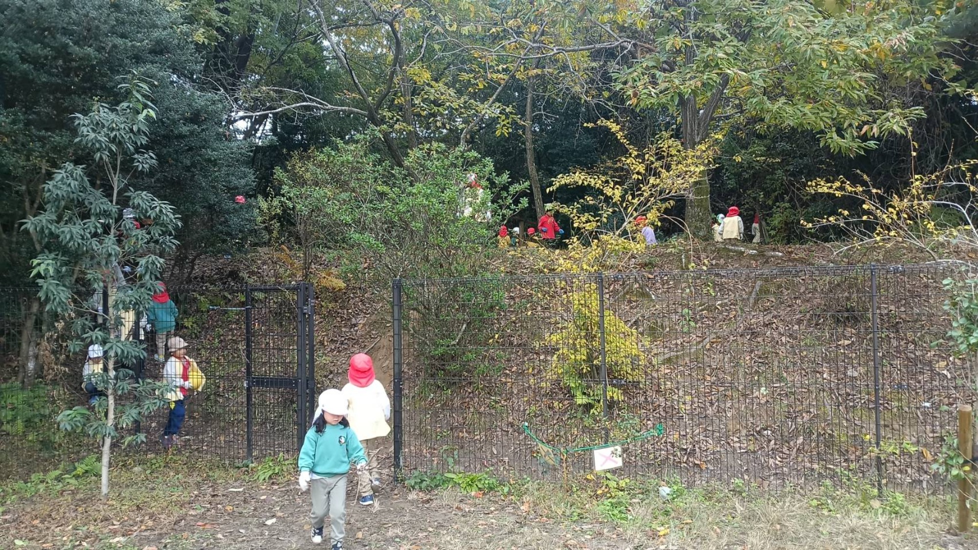 やきいもパーティー（1/2）