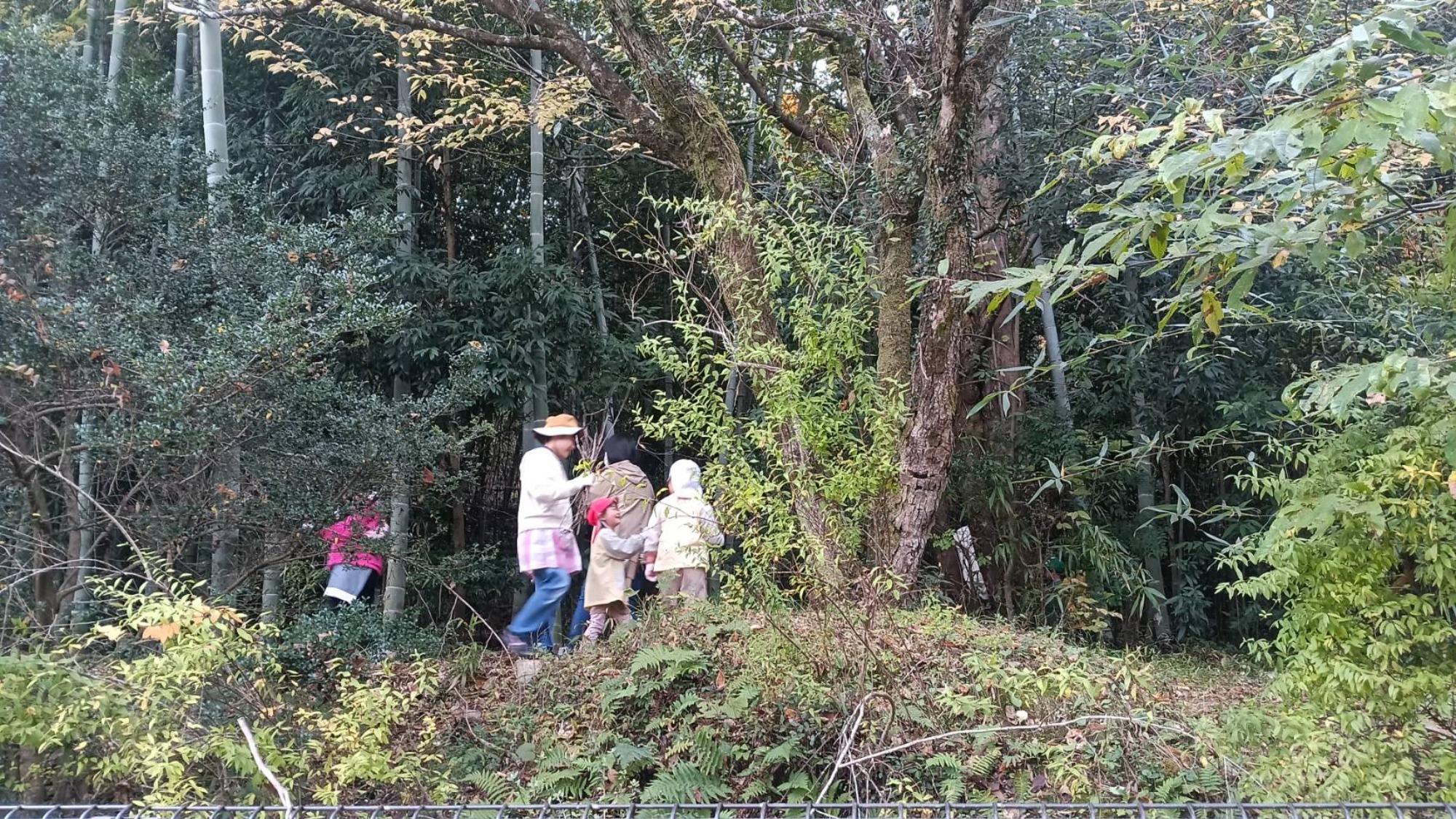 やきいもパーティー（1/2）